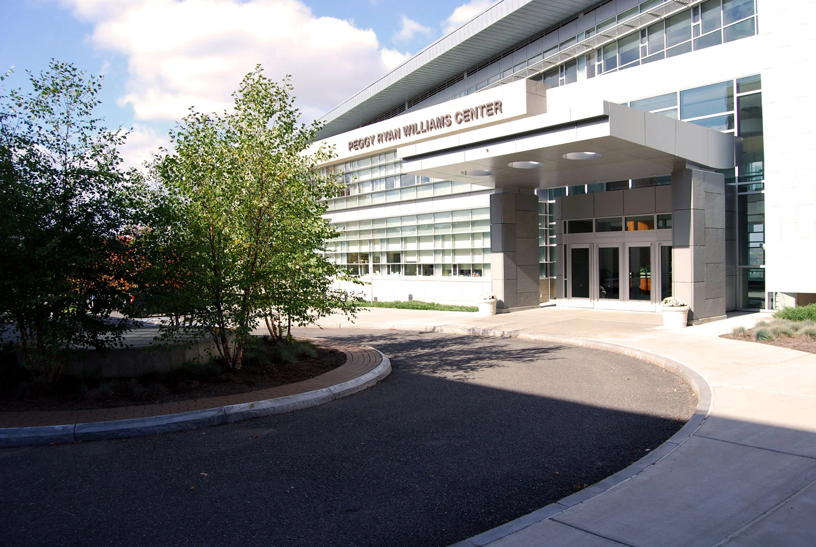 PeggyRyanWilliams-IthacaCollege-Porous-Pavement.jpg