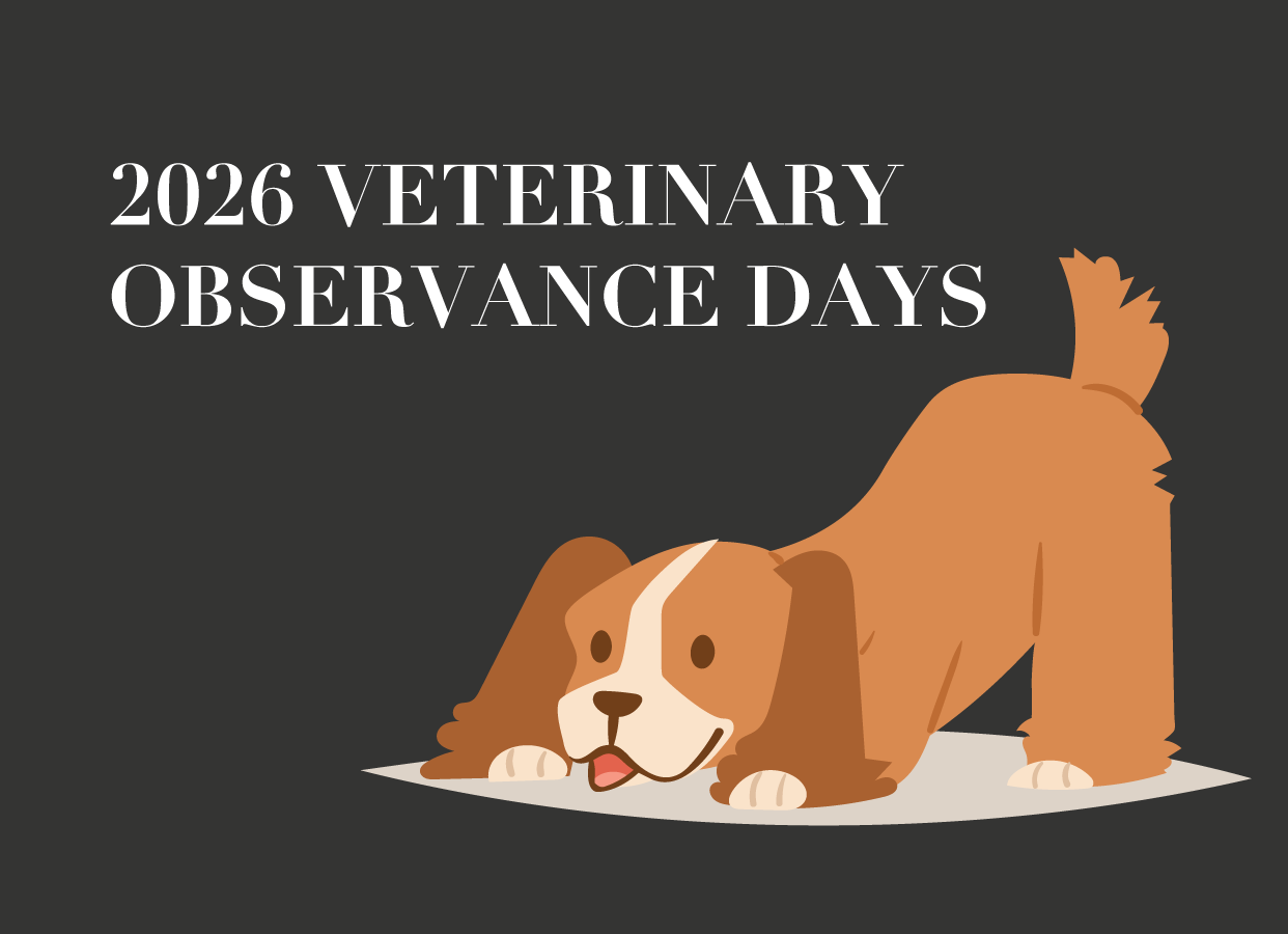 2026 Veterinary Observance Days: Creative Celebration Ideas for Your Brand