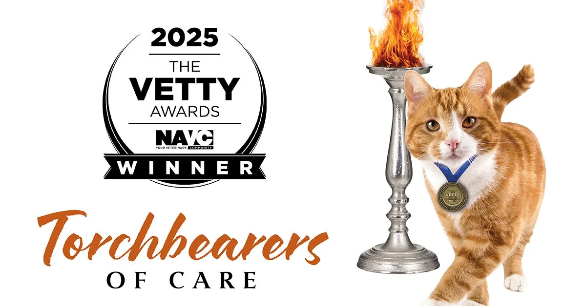 VETTY Awards® Recognize Red Brick Partners For Excellence in Animal Health Care Marketing