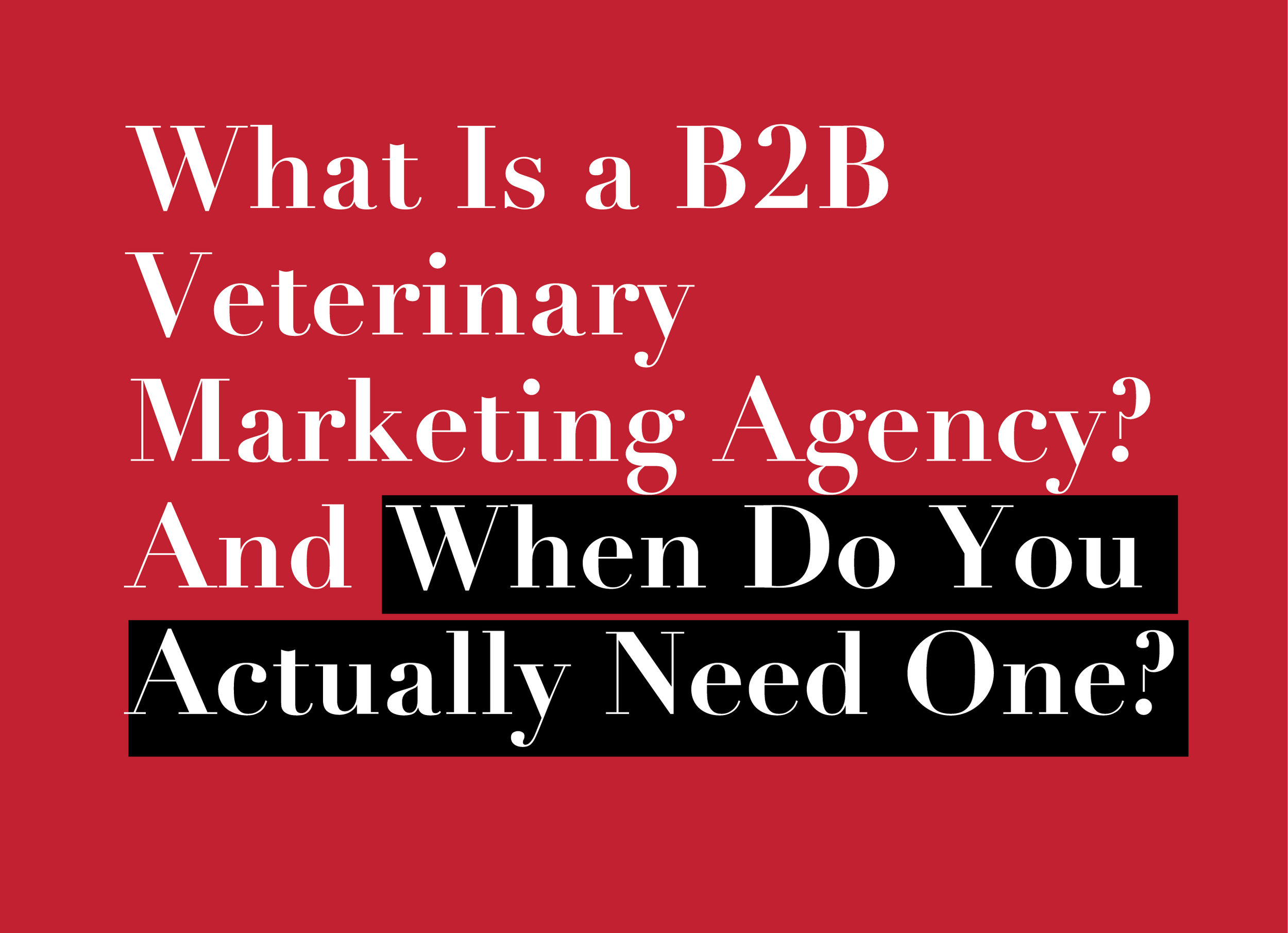 What Is a B2B Veterinary Marketing Agency? And When Do You Actually Need One?
