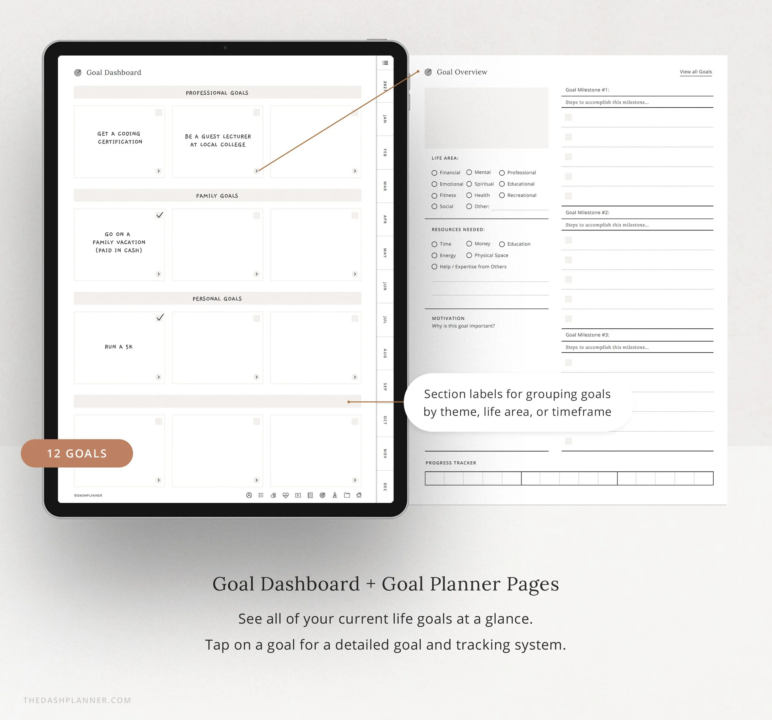 Goal Dashboard with space for 12 goals grouped by label, linking to a Goal Overview page with milestones, action steps, and a progress tracker. (Copy)