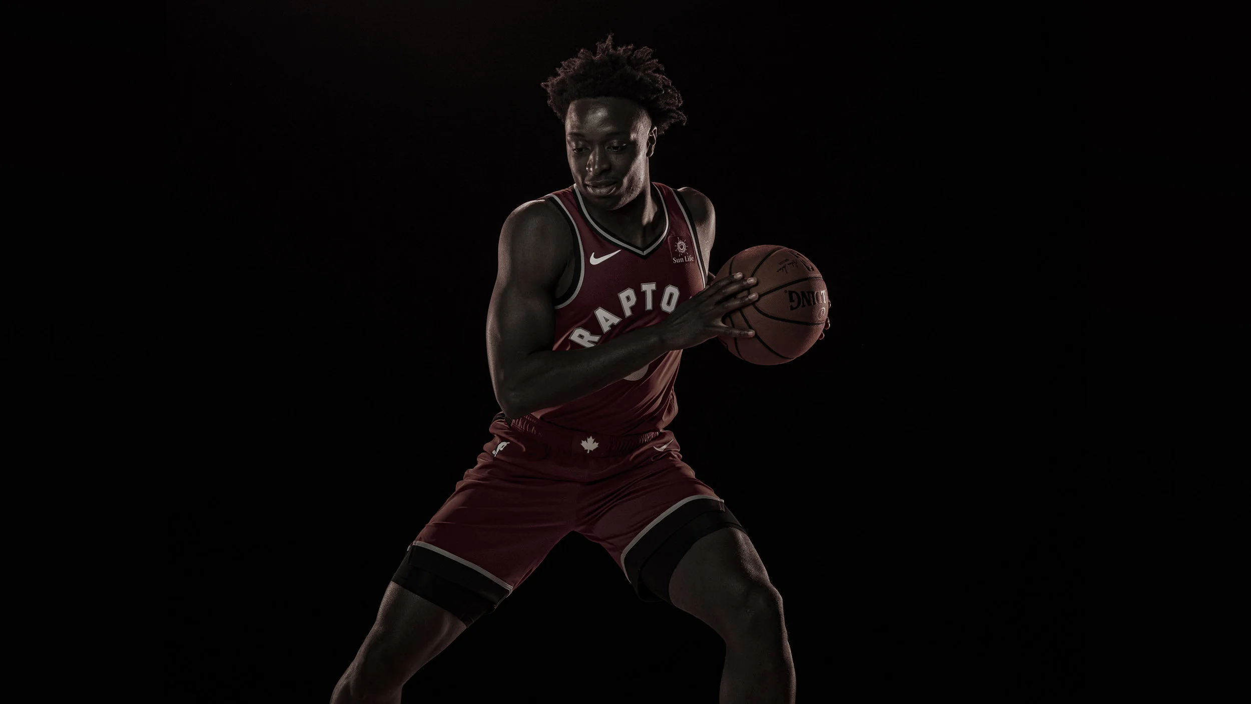 DD_Raptors18-0022.jpg
