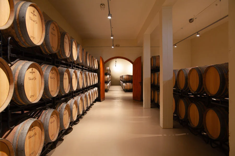 foto señorio arana.jpg