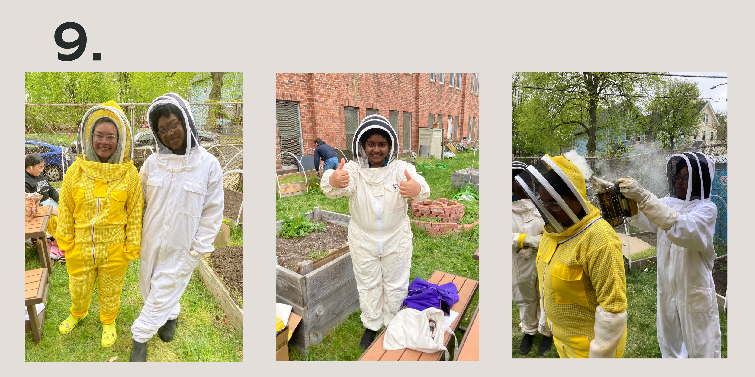 Beginning Beekeeper's Mentorship Bundle, New Beekeepers Lessons