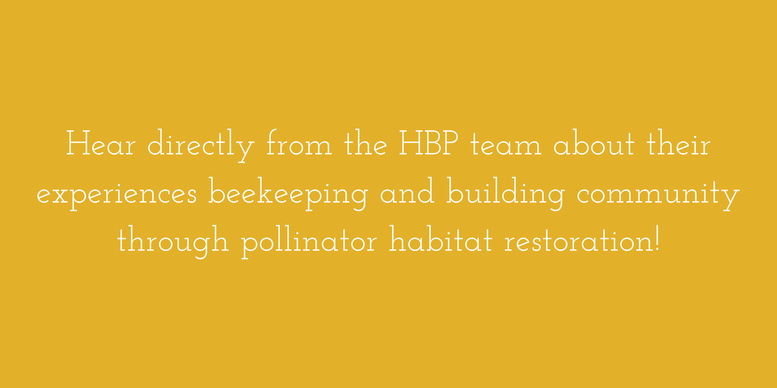 II. Importance of Beekeeping for the Environment