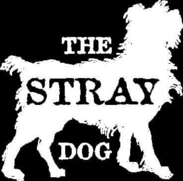 Stray Dog.jpeg