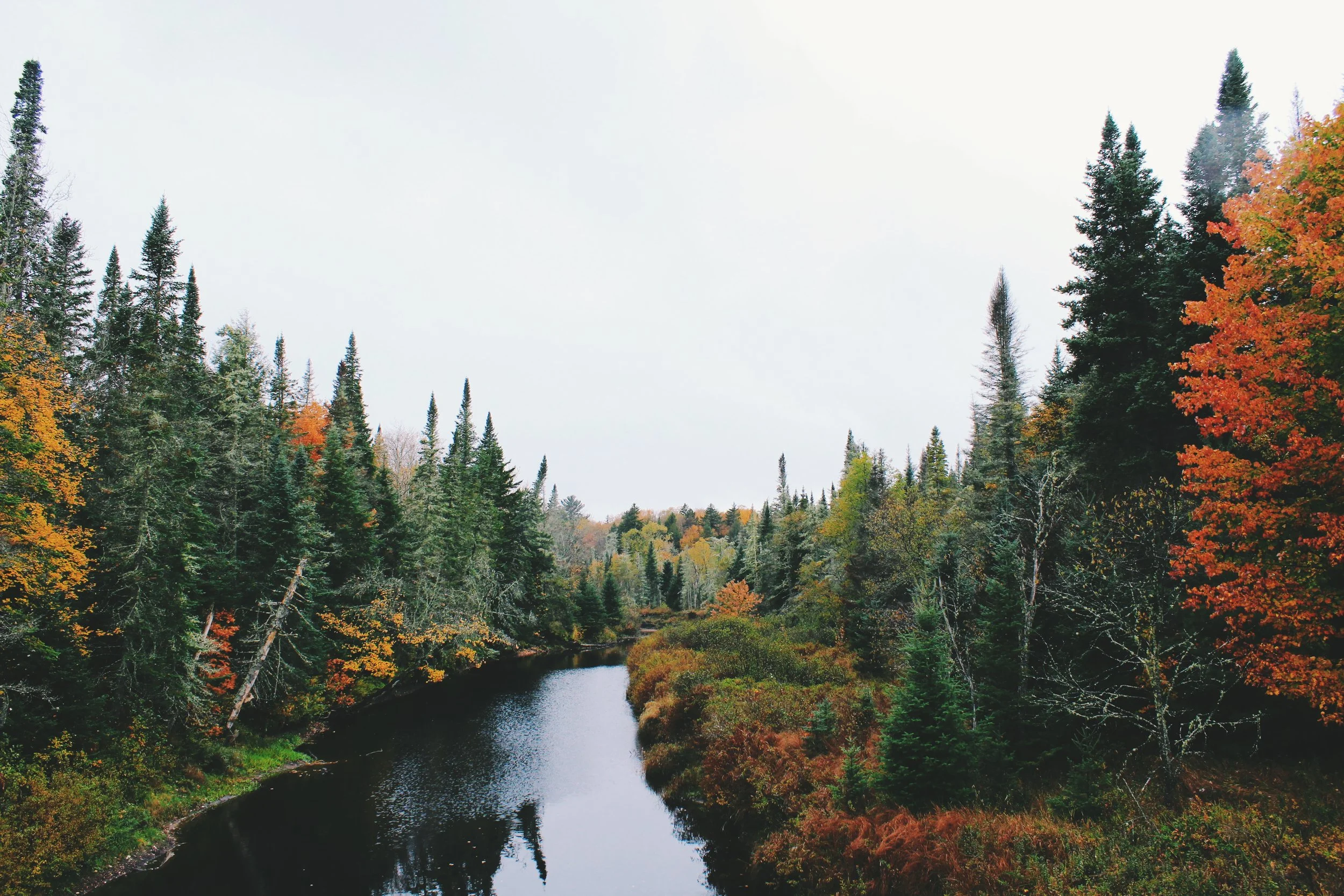 Processed with VSCO with f1 preset