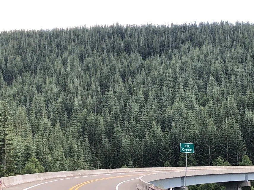 Nature's Optical Illusion - Mount St. Helens, Washington