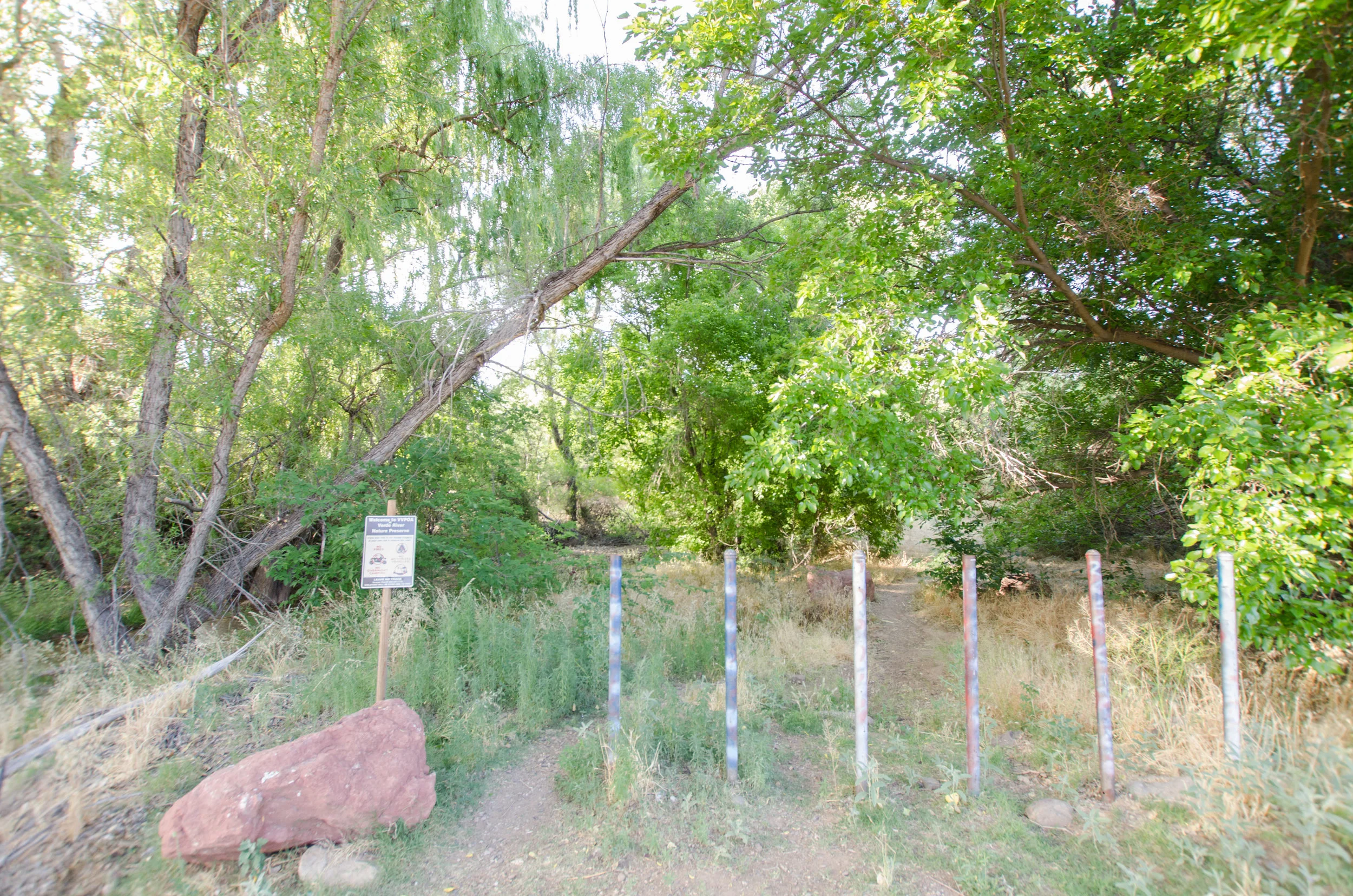 Cottonwood Airbnb 212_edited-1.jpg