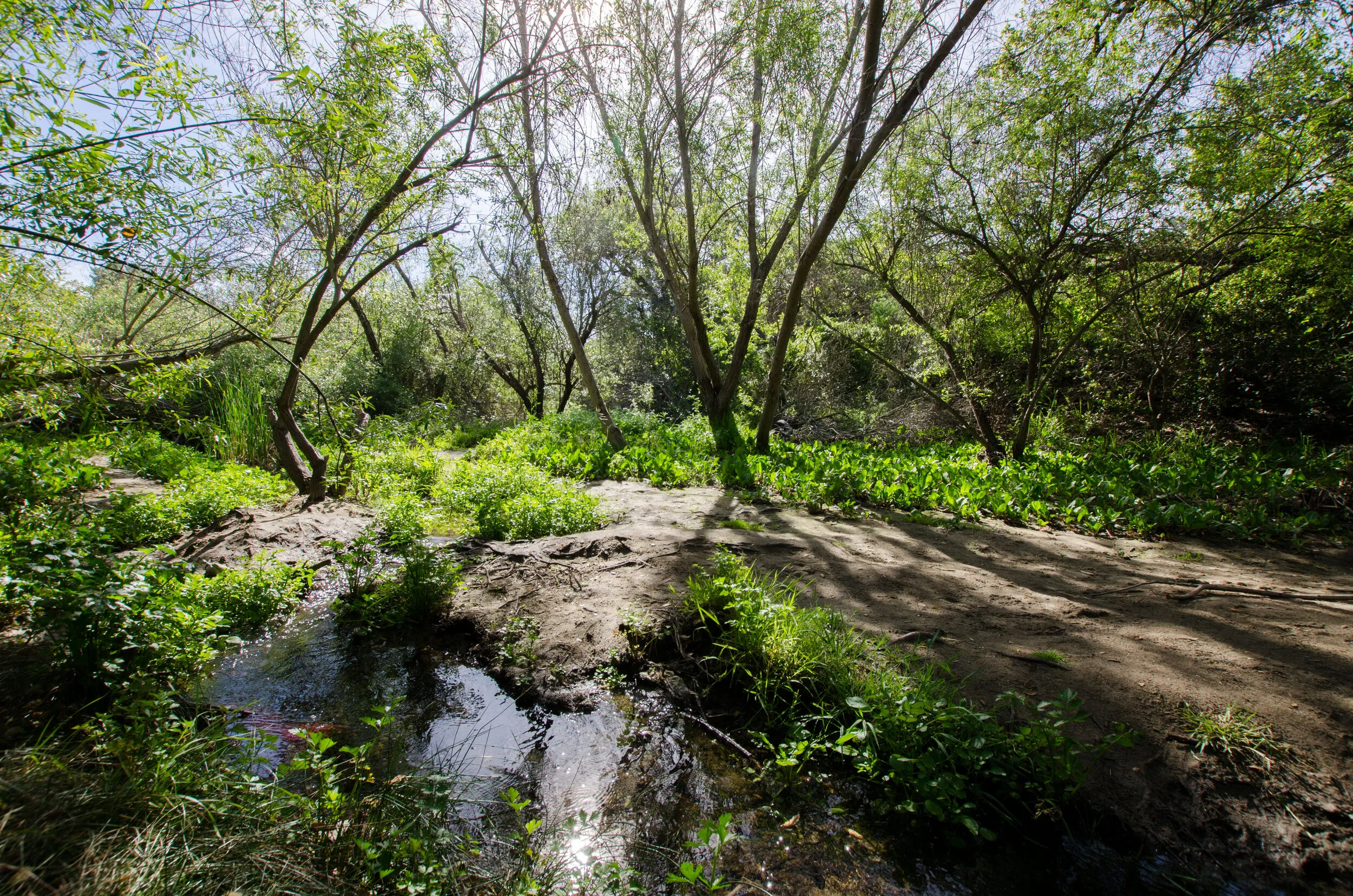 oceansideairbnb 229.JPG