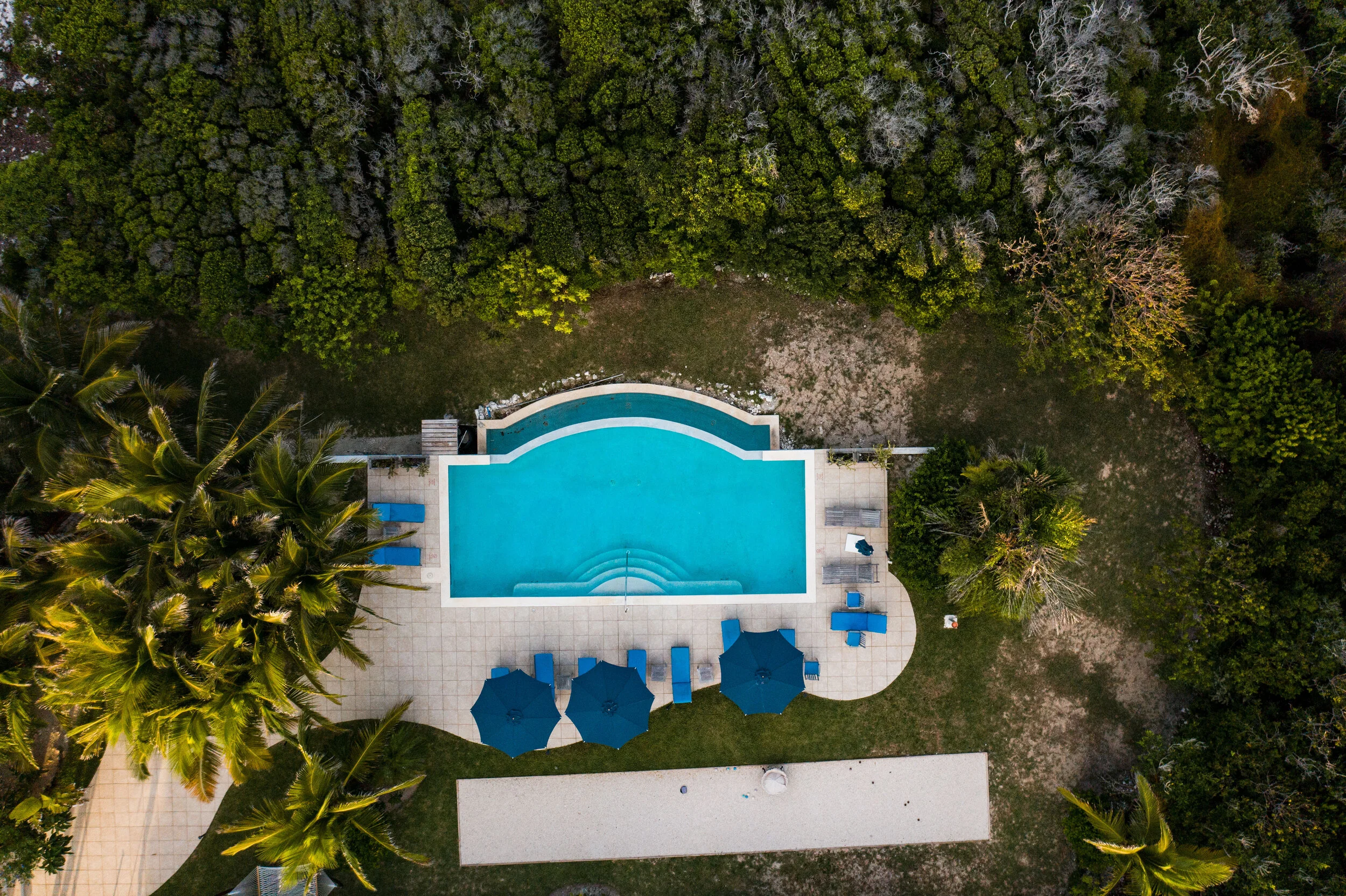 Delphi Gallery Bonefish & Permit in Abaco — The Delphi Club