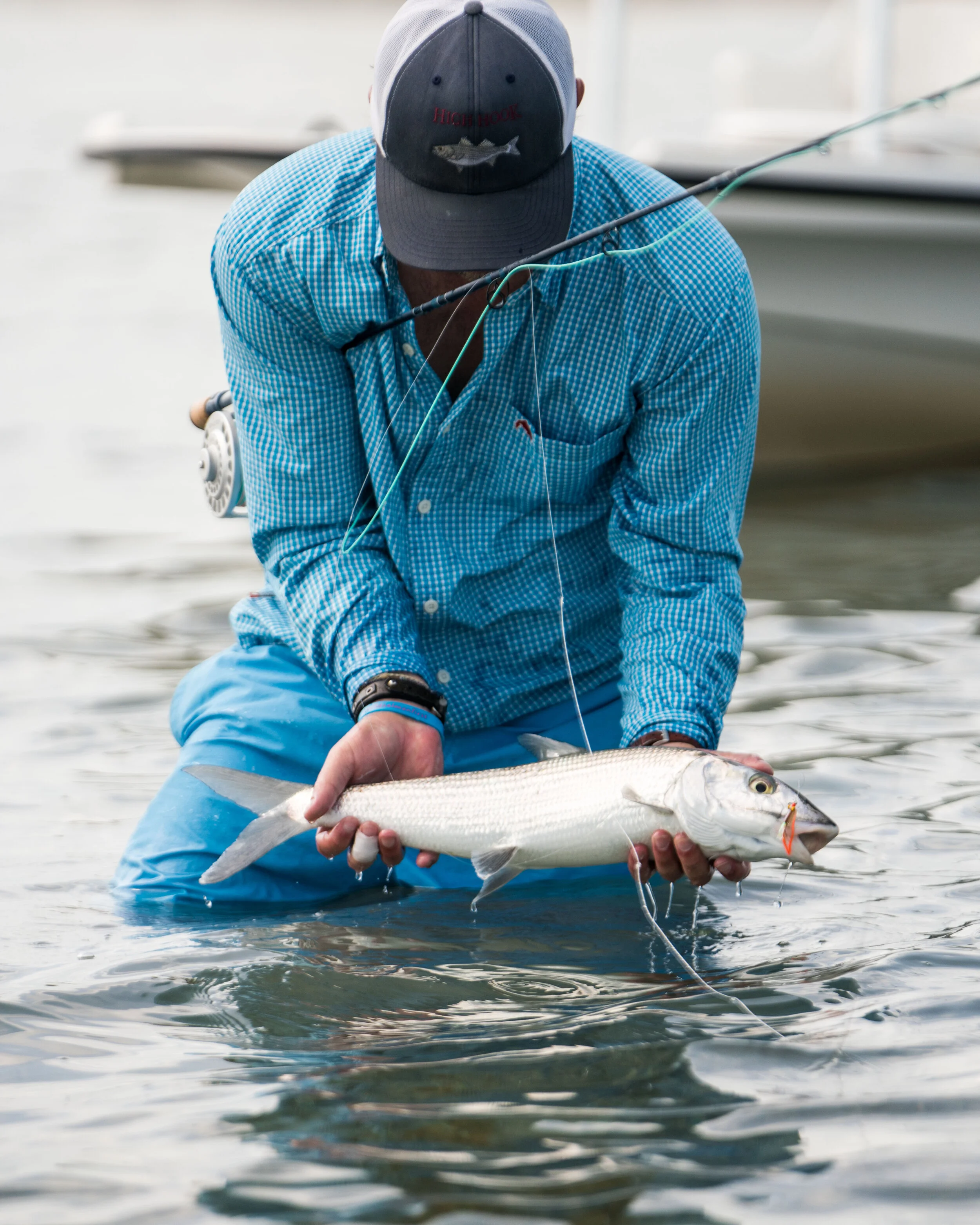 Delphi Gallery Bonefish & Permit in Abaco — The Delphi Club
