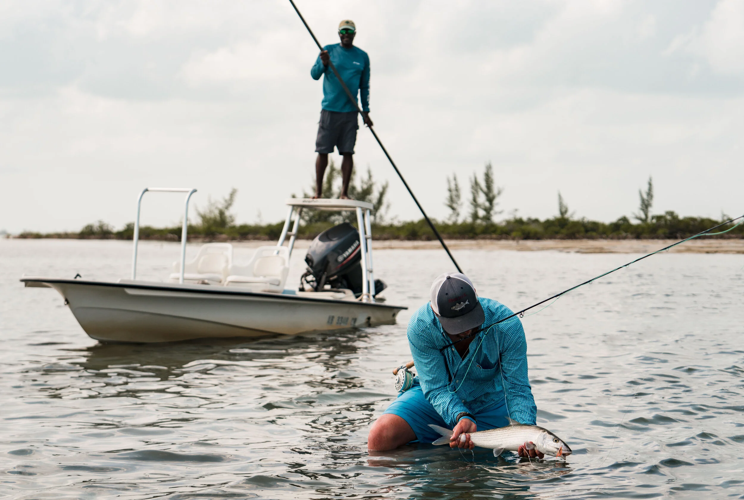 Delphi Gallery Bonefish & Permit in Abaco — The Delphi Club