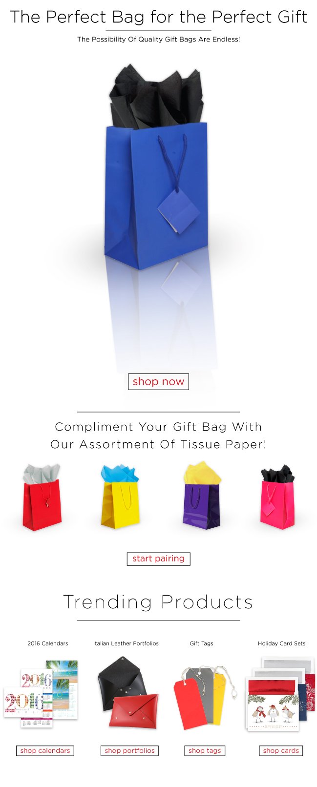 Bags&TissuePaperEmailBlast.jpg