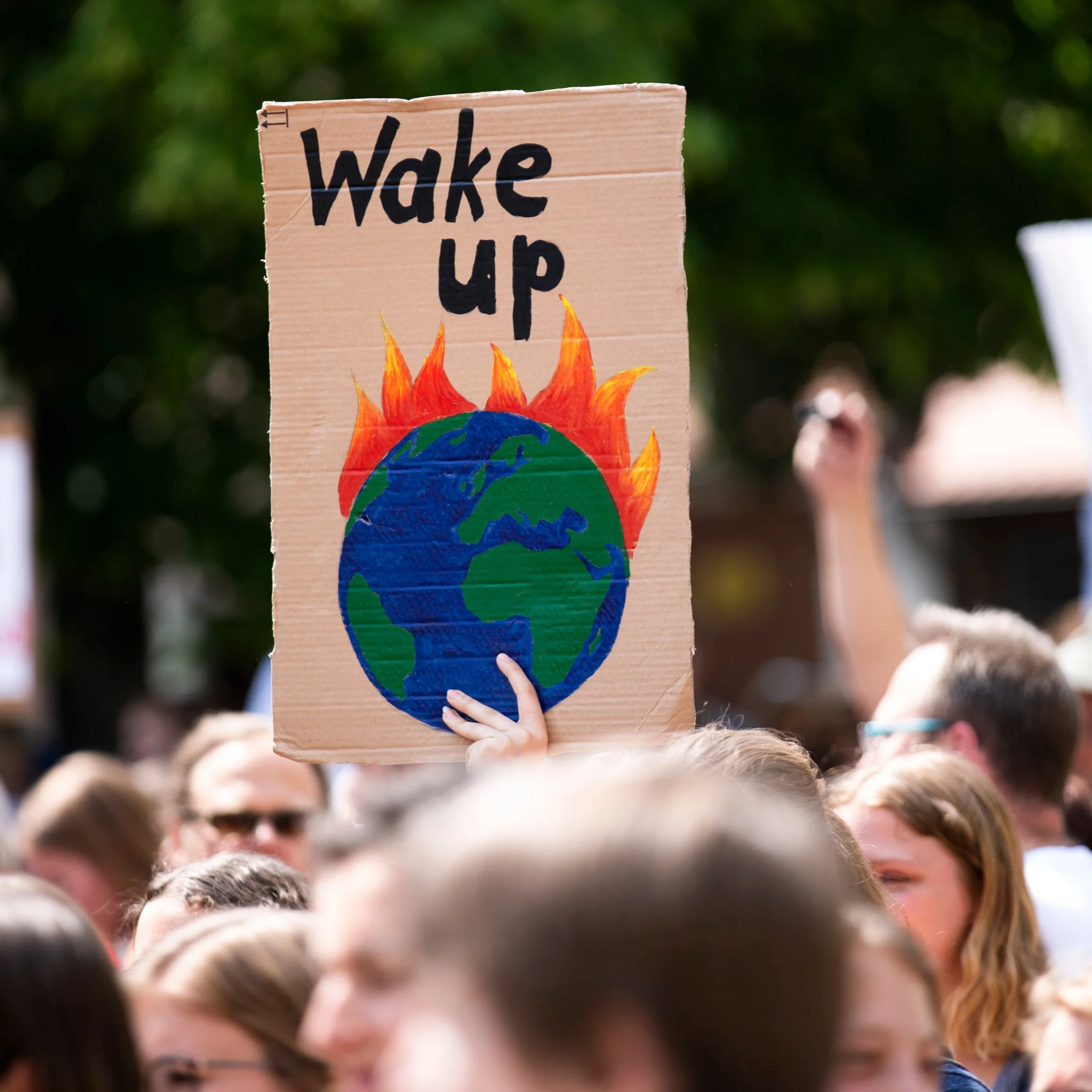 The Green New Deal: Everything You Thought You Knew...and More!