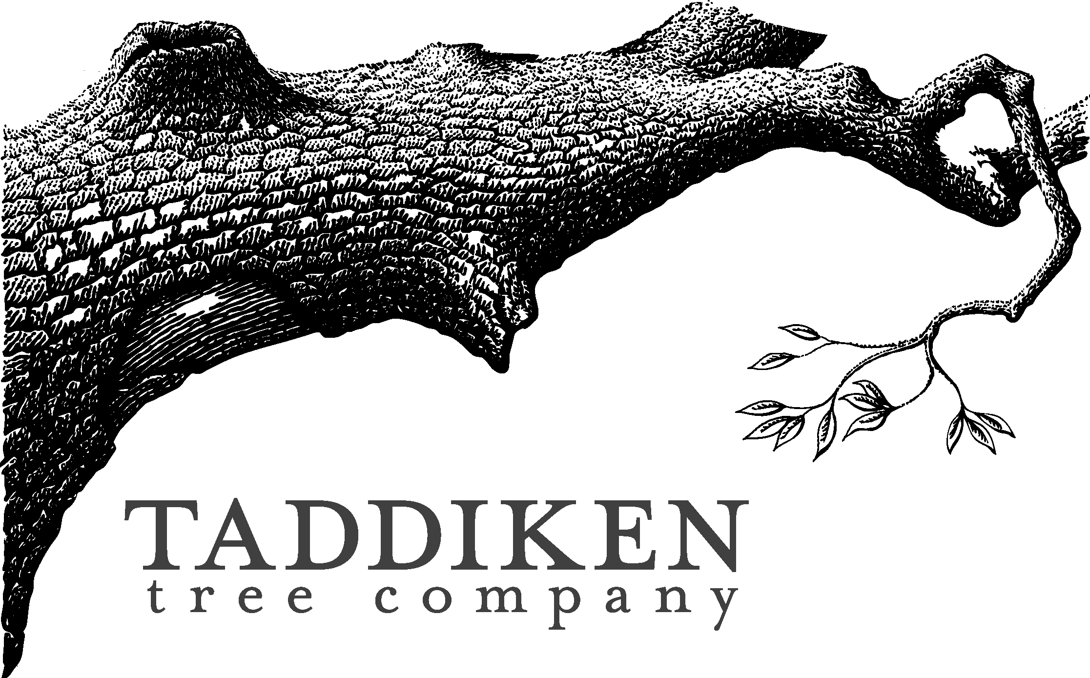 Taddiken Tree Company