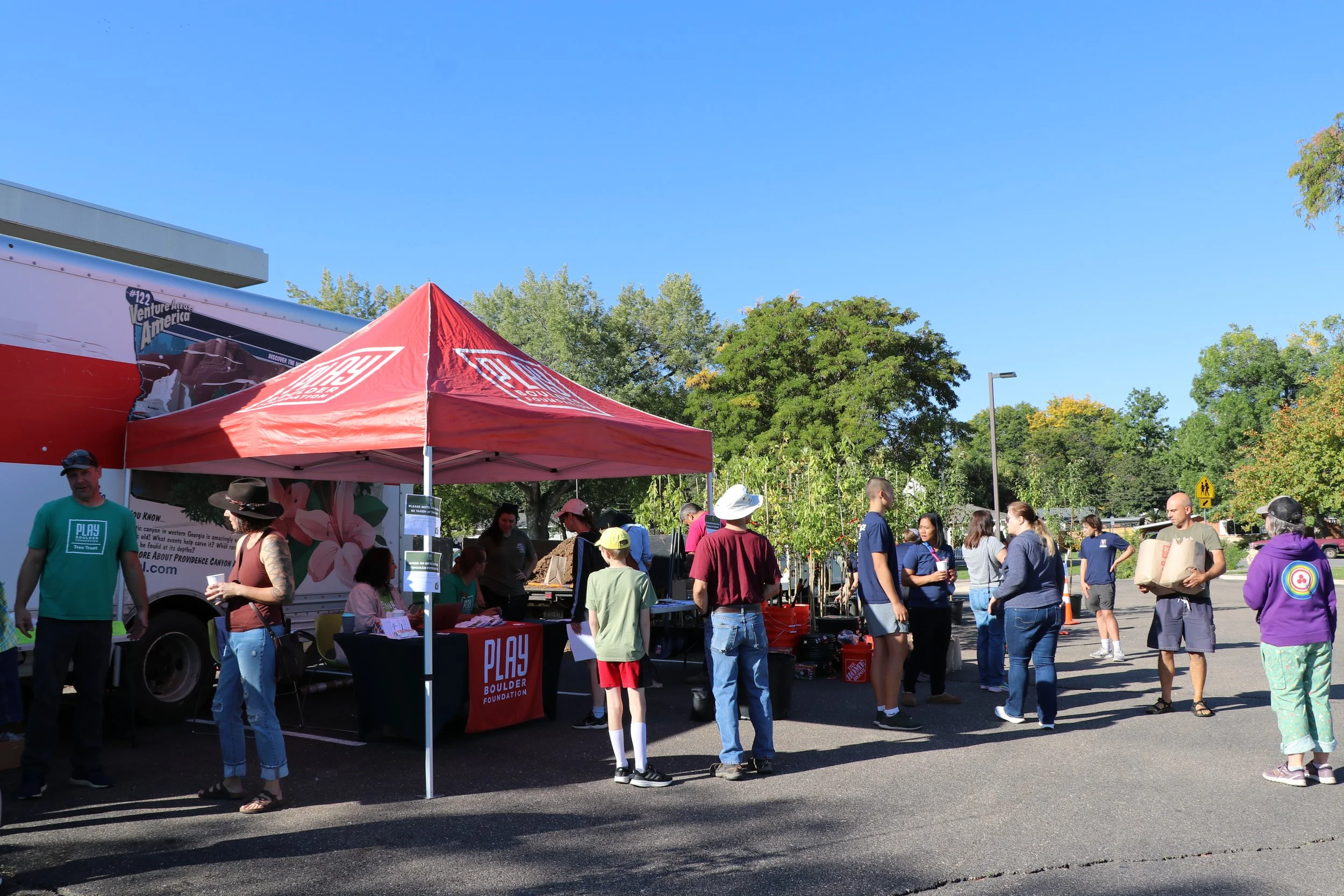 Growing Shade Lafayette Tree Pick-Up