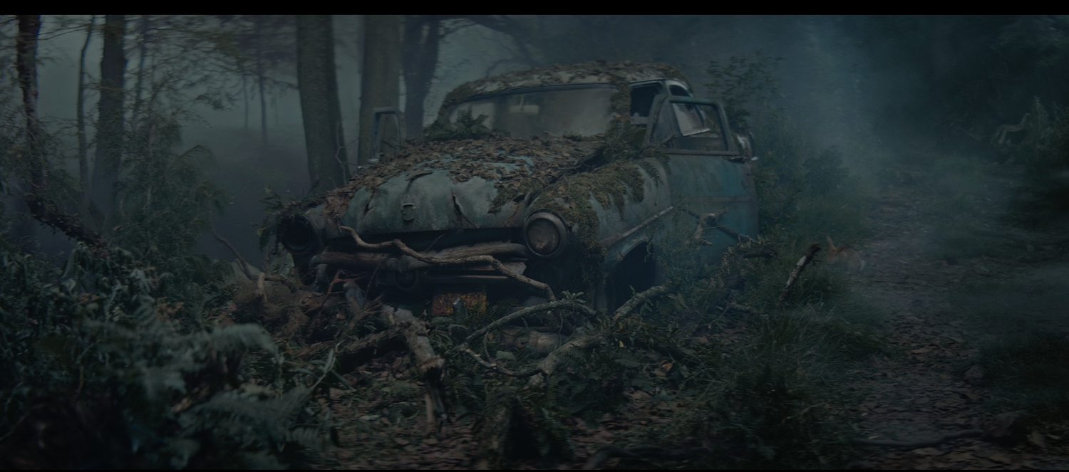 ib_forest.png