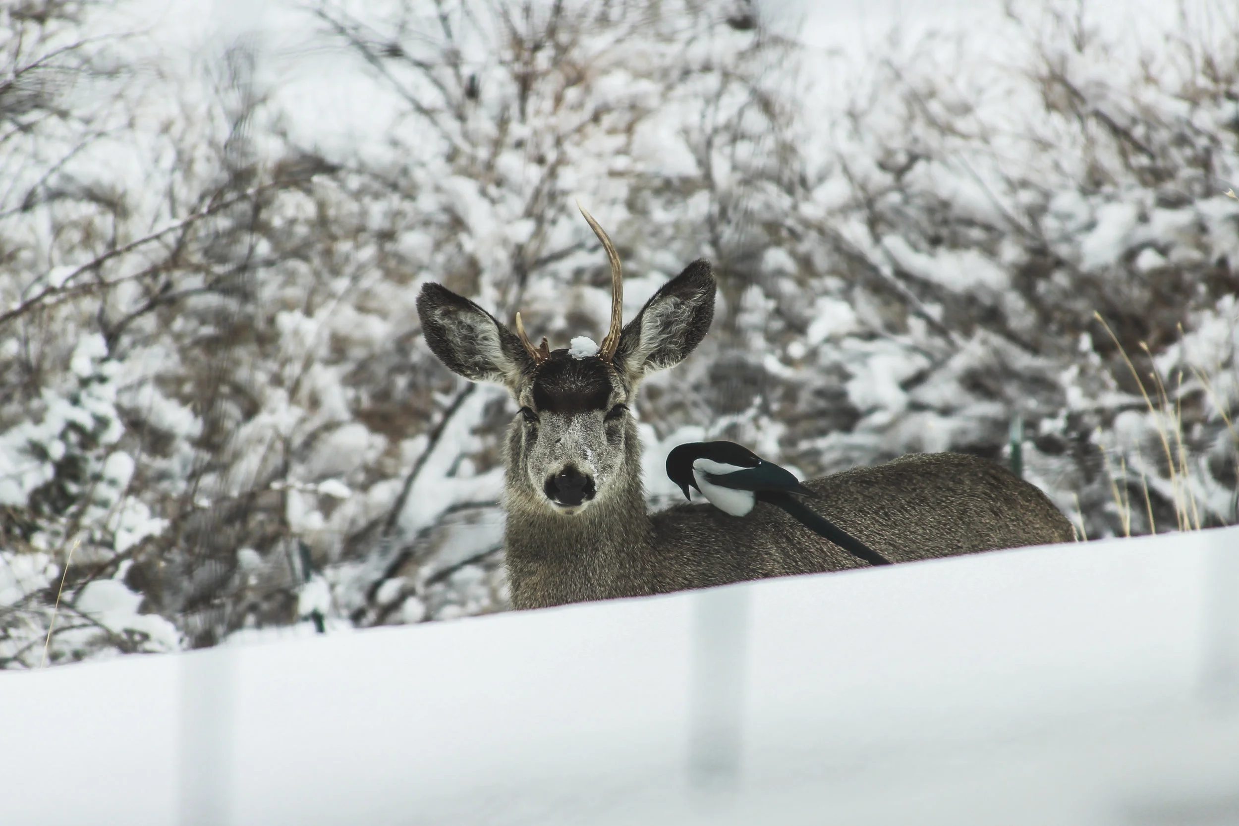 Are you freezing yourself from making a career change?