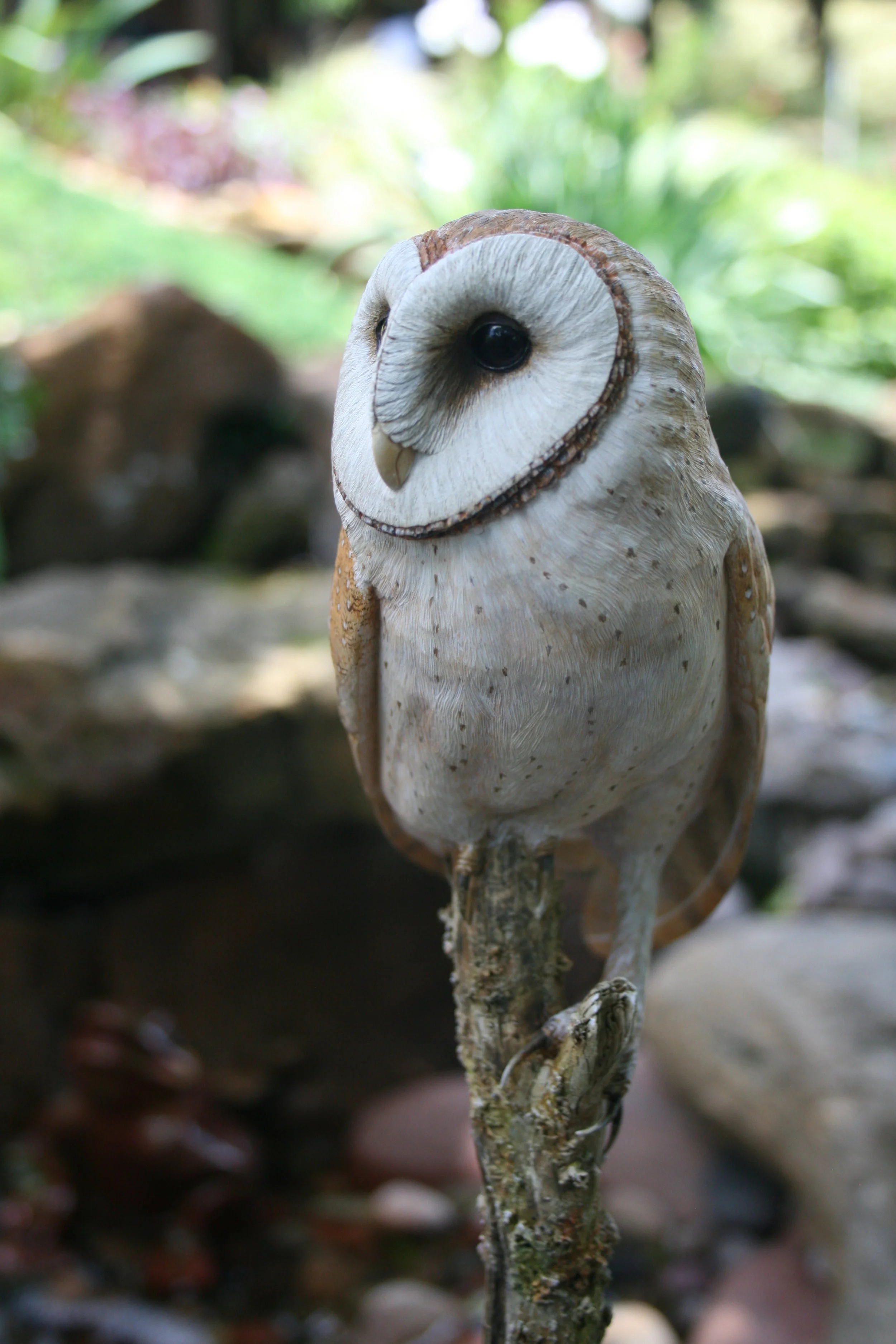 2016-04-30 00.46.06.jpg