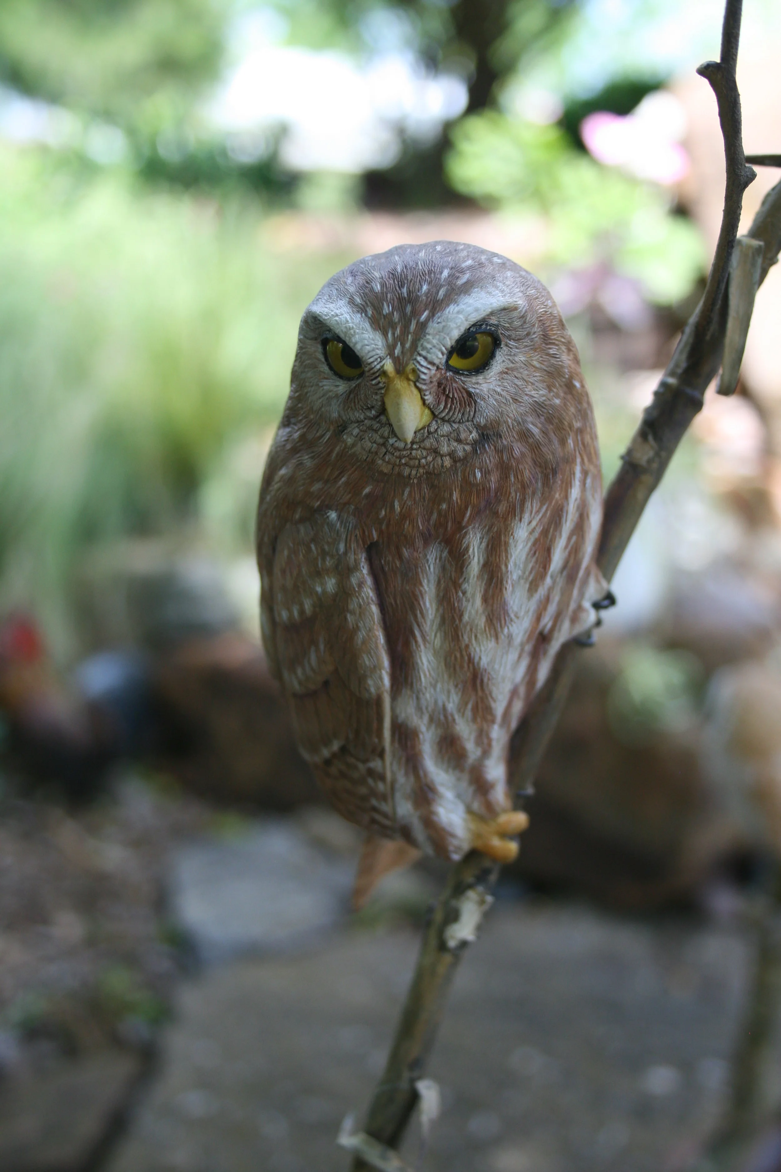 2016-04-30 00.44.30.jpg