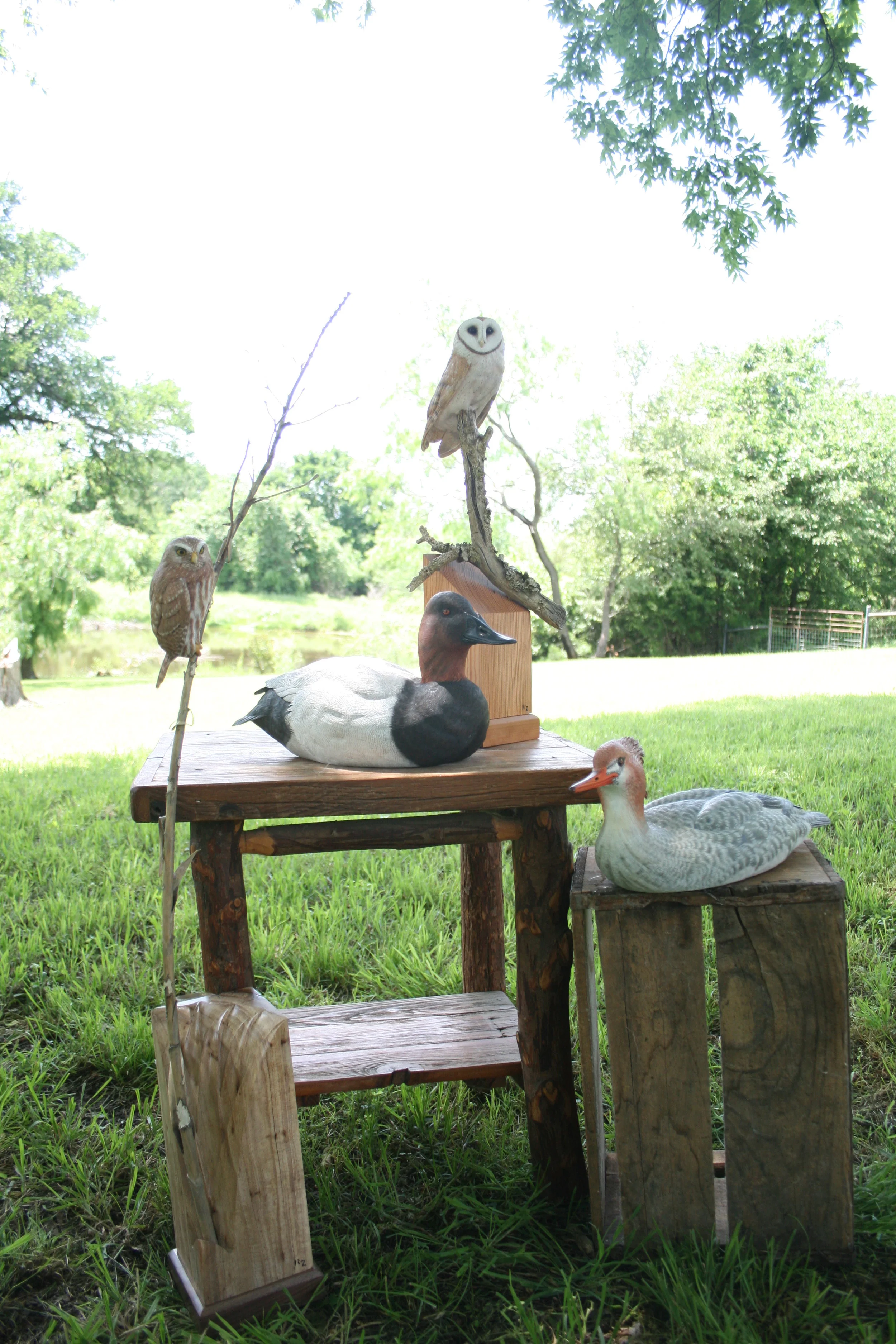 2016-04-30 01.43.43.jpg