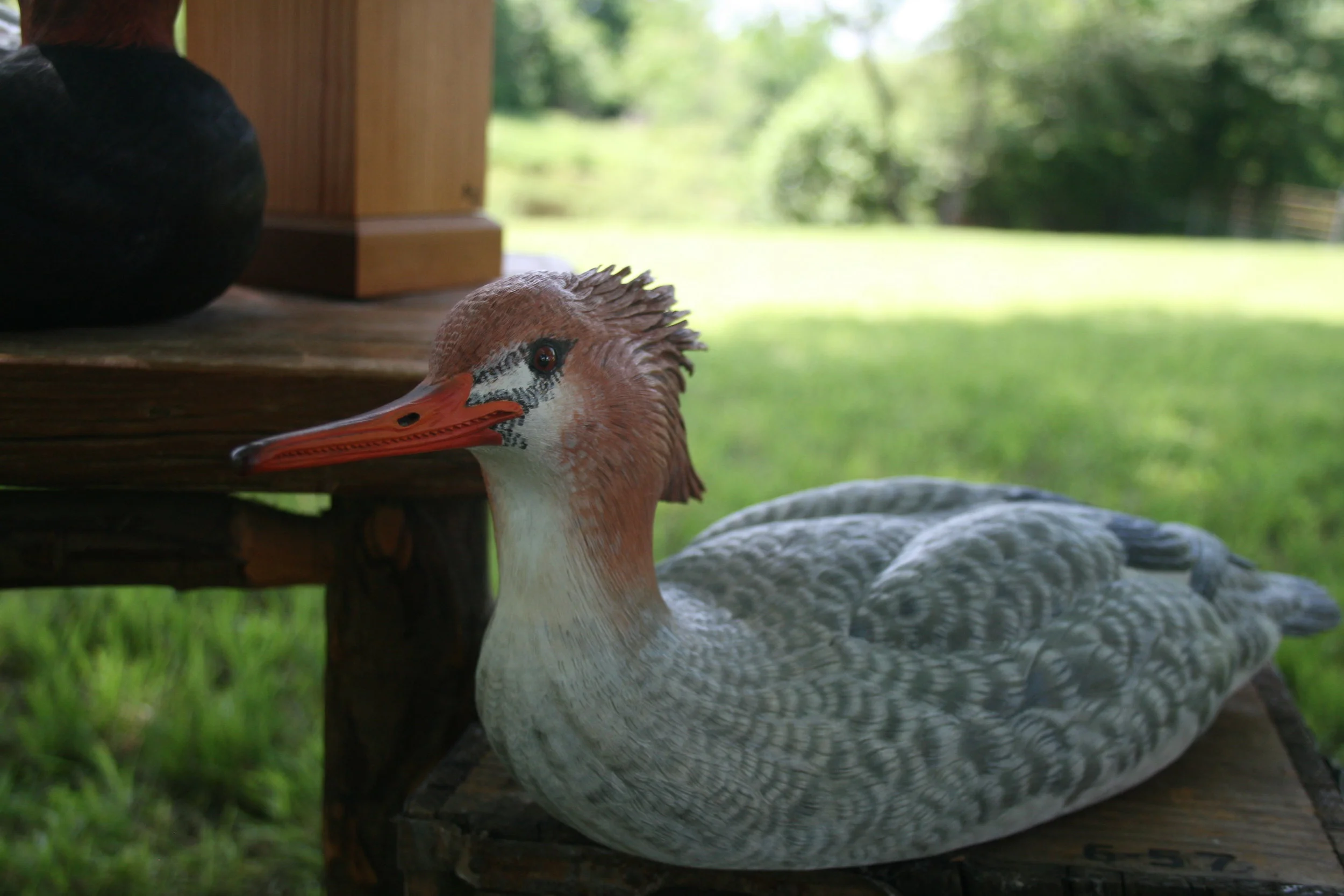 2016-04-30 01.45.40.jpg