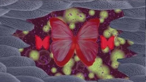 World of Wonder by Alison Faith Levy