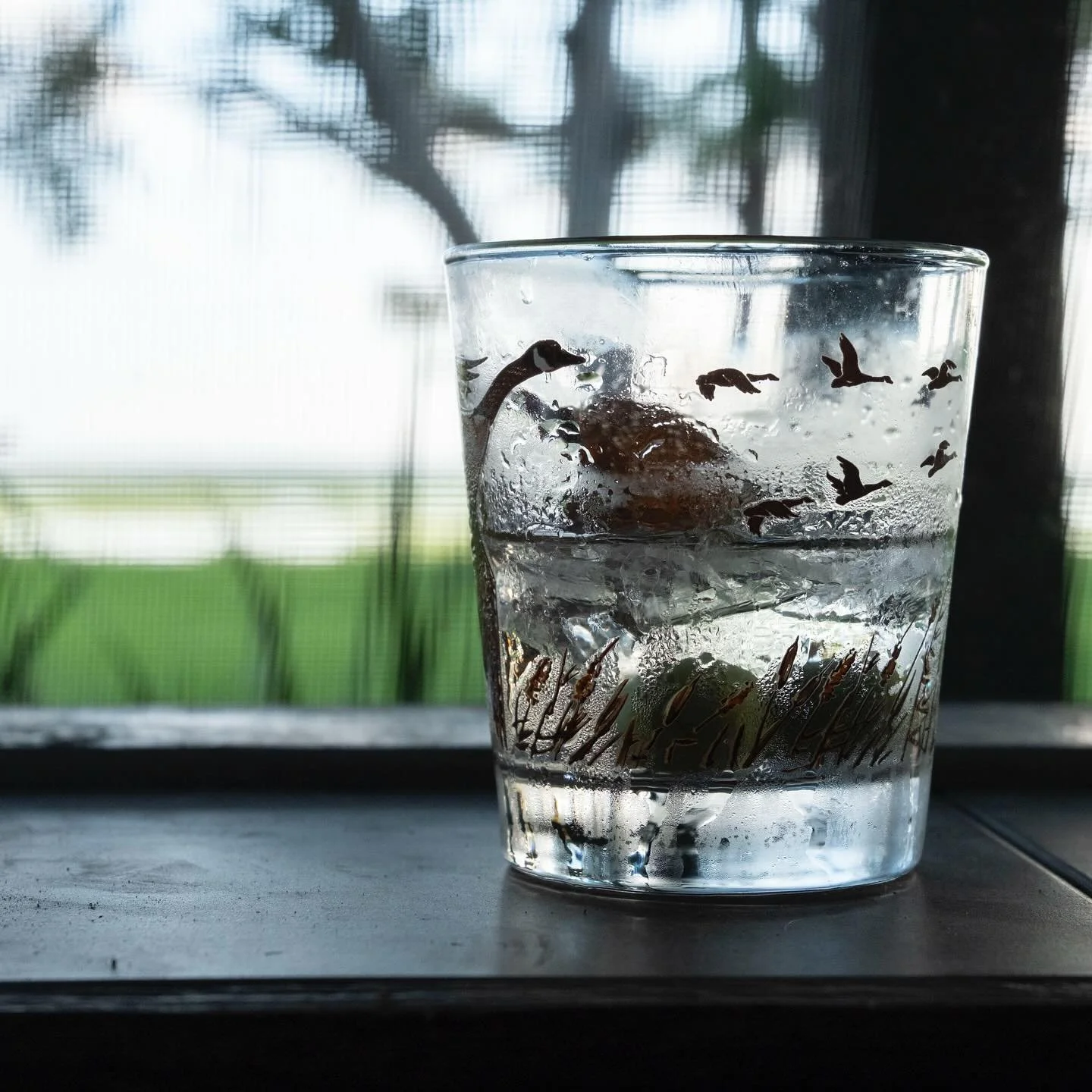 New on Cream of Caroline: The front porch martini aka Tom&rsquo;s martini aka a horror show, according to a great American barman. It&rsquo;s 2 ounces gin, a cap-full of vermouth, splash of olive juice, and ice. Head over to my Substack for a meditat