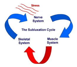 Subluxation interferes with the Nerve system