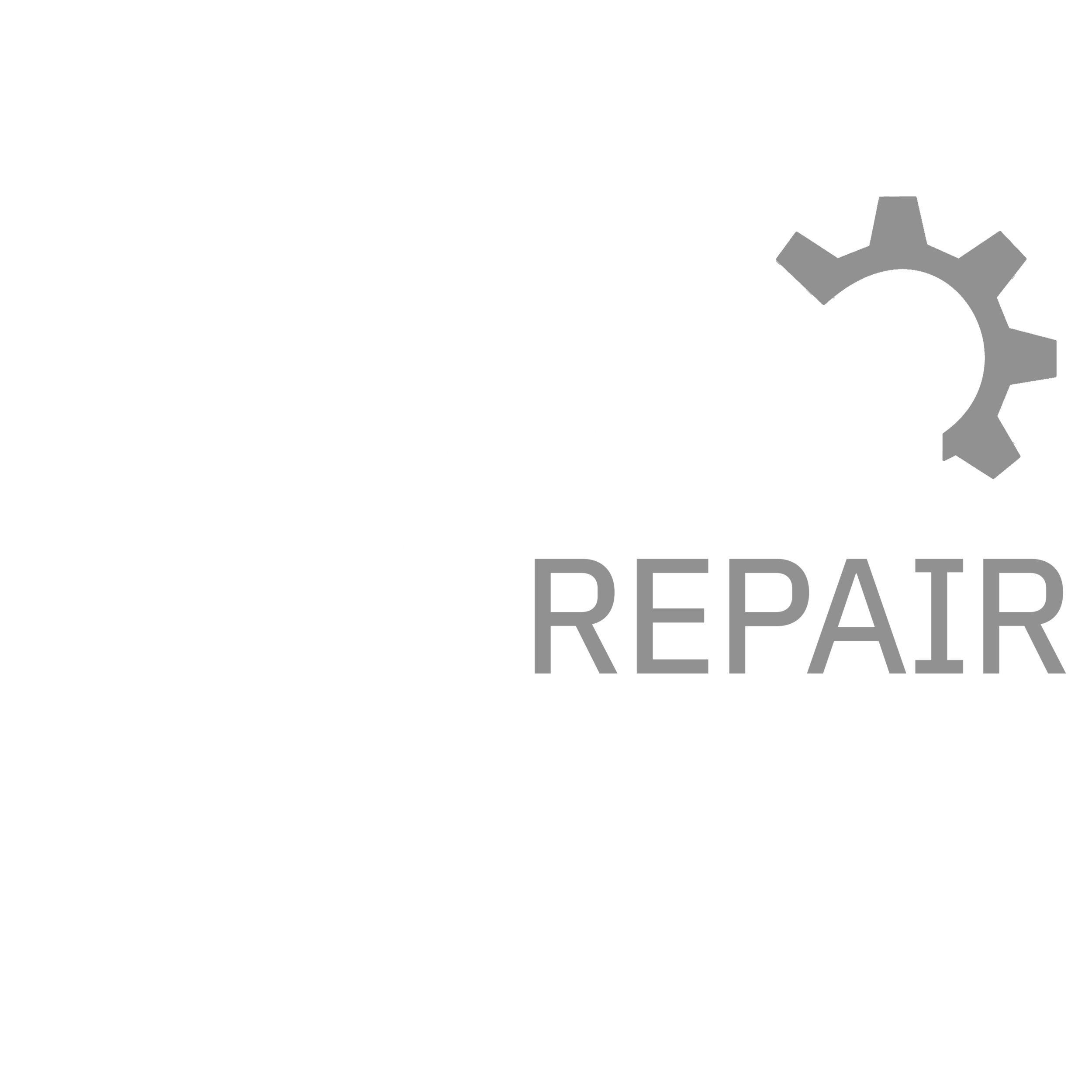 Meyer Repair