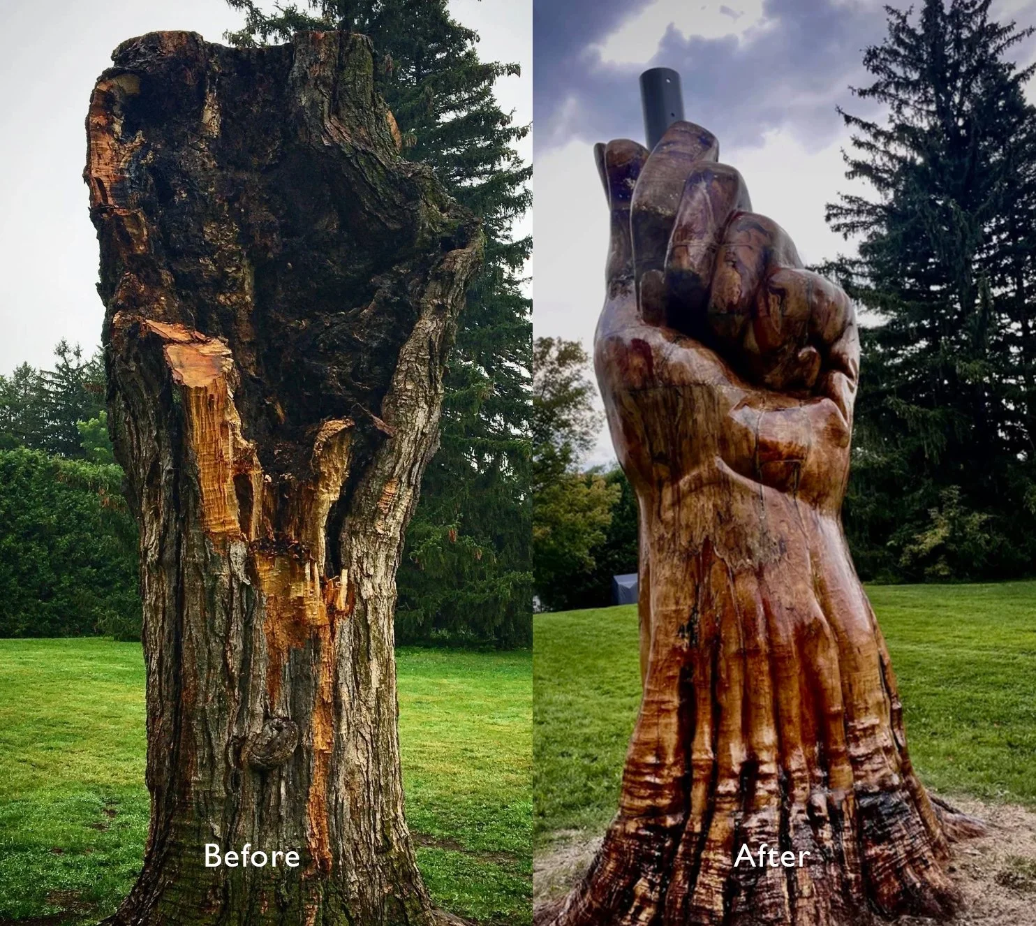 Before After.jpg
