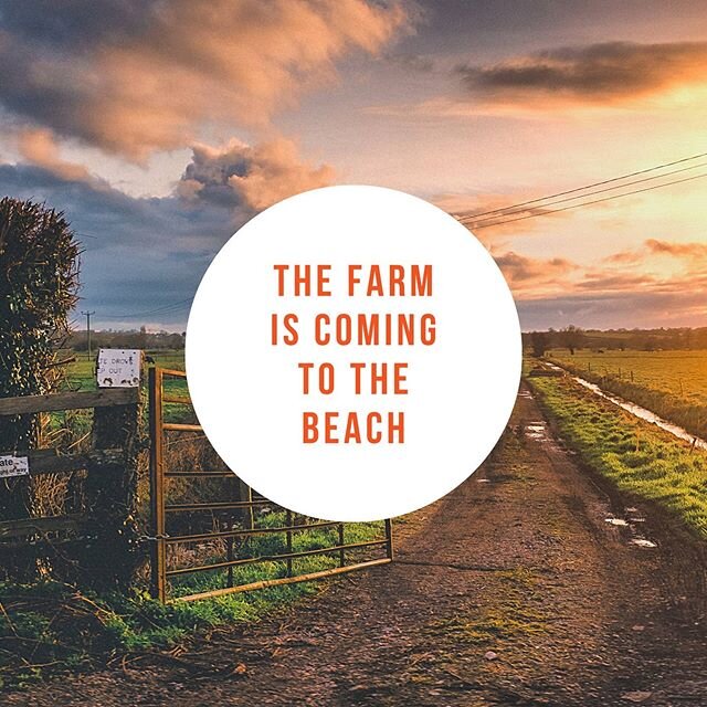 Yes, friends, it's happening!
.
Throughout the whirlwind that has been the last few months, we are now finalizing how our market season will move forward with the county.
.
Expect to see your favourite booths slightly farther apart as the community c