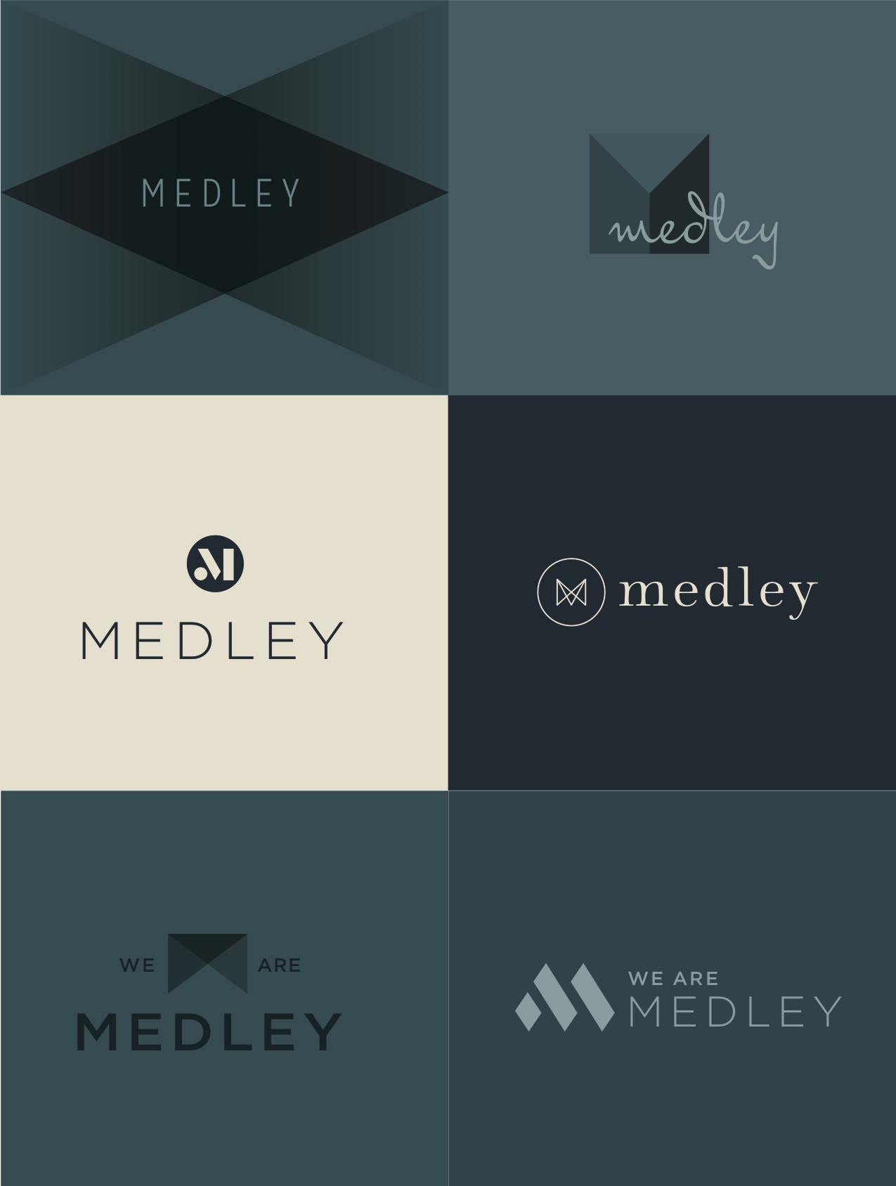 medley_logopalooza 5.jpg