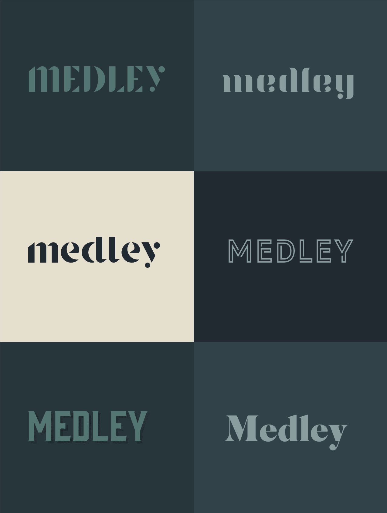 medley_logopalooza 1.jpg