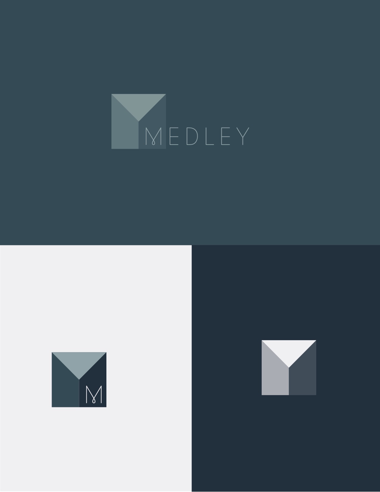 Medley_logos_v3 3.jpg