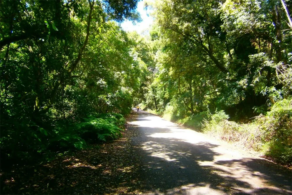 Beautiful Trails