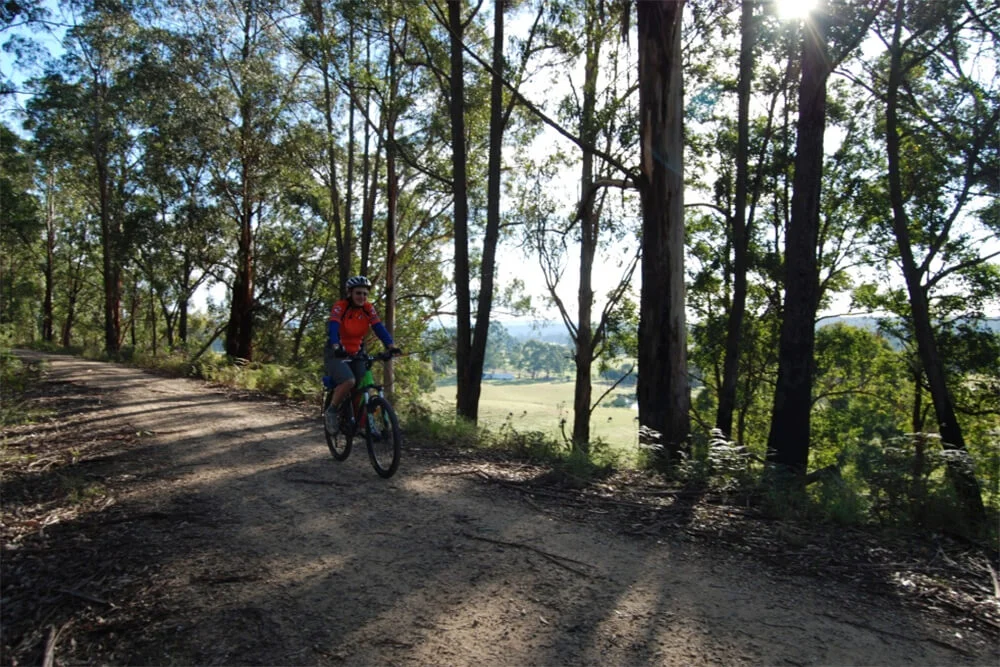 Fantastic gentle riding
