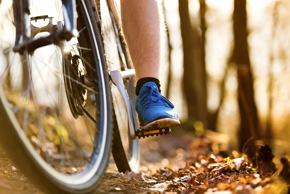 Cycling trails.jpg