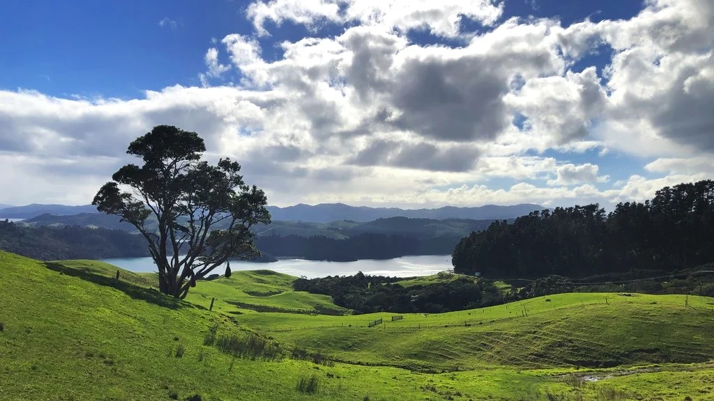 NZ Tour Scouting Trip Report