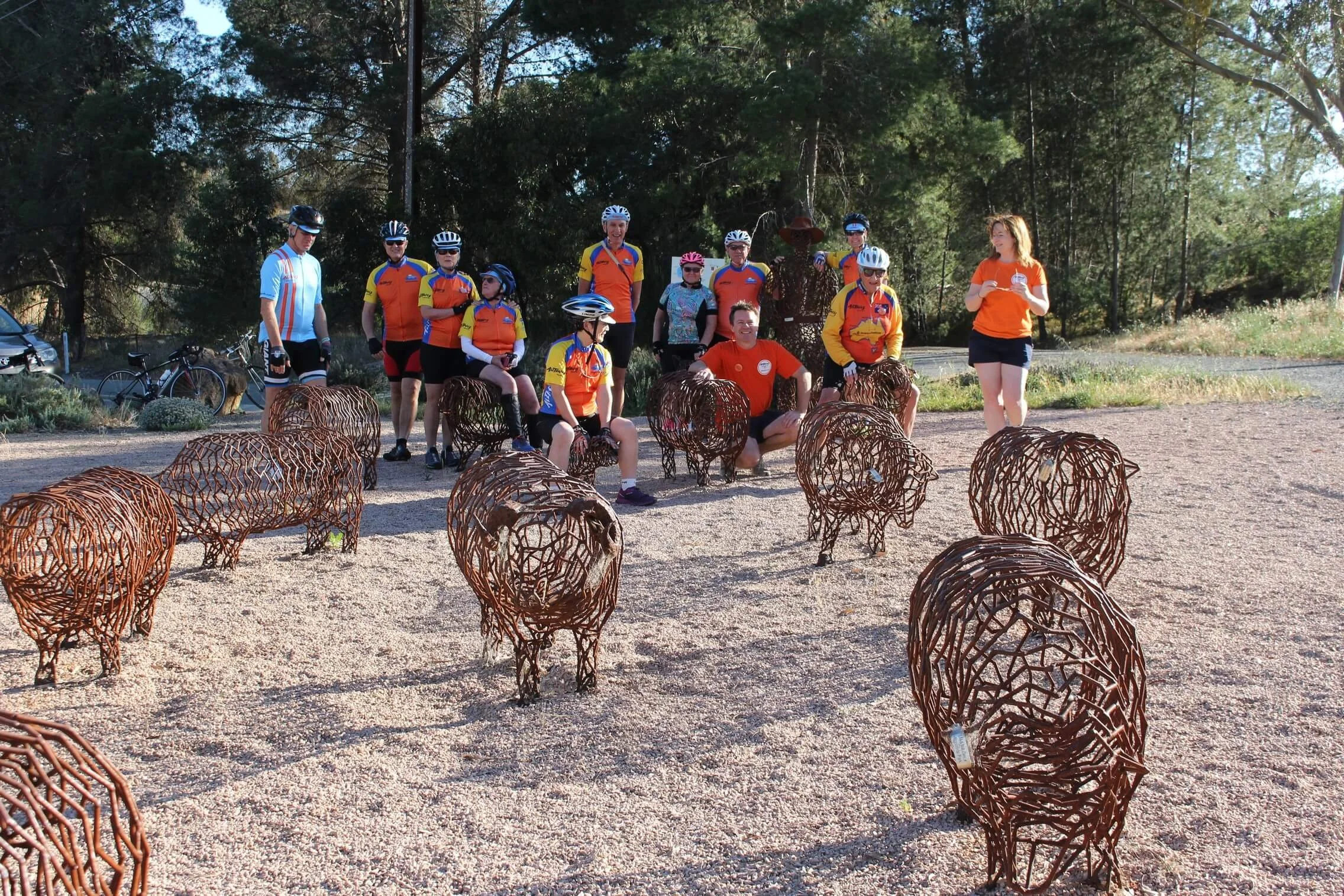South Australia Food & Wine Cycling Tour — AllTrails Bicycle Tours