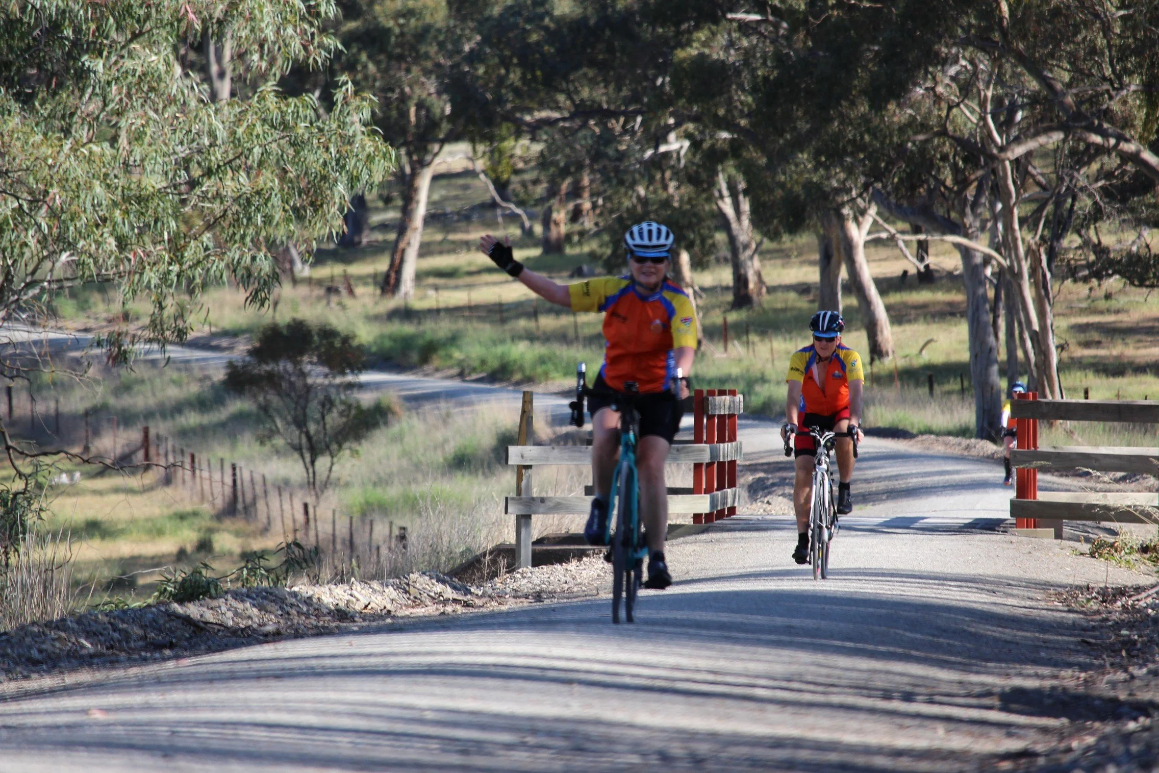 South Australia Food & Wine Cycling Tour — AllTrails Bicycle Tours