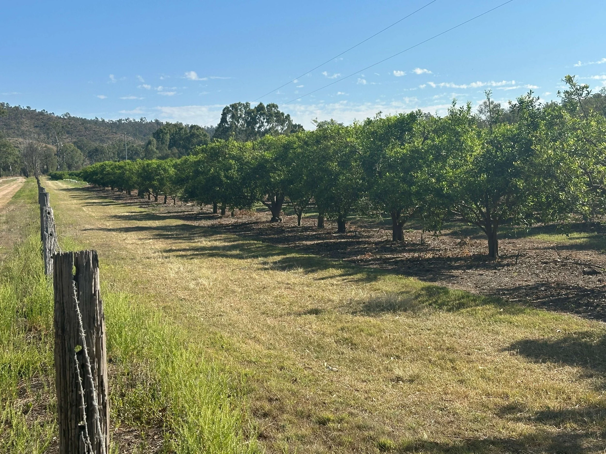 QLD Rail Trails Cycle Tour (14).JPG