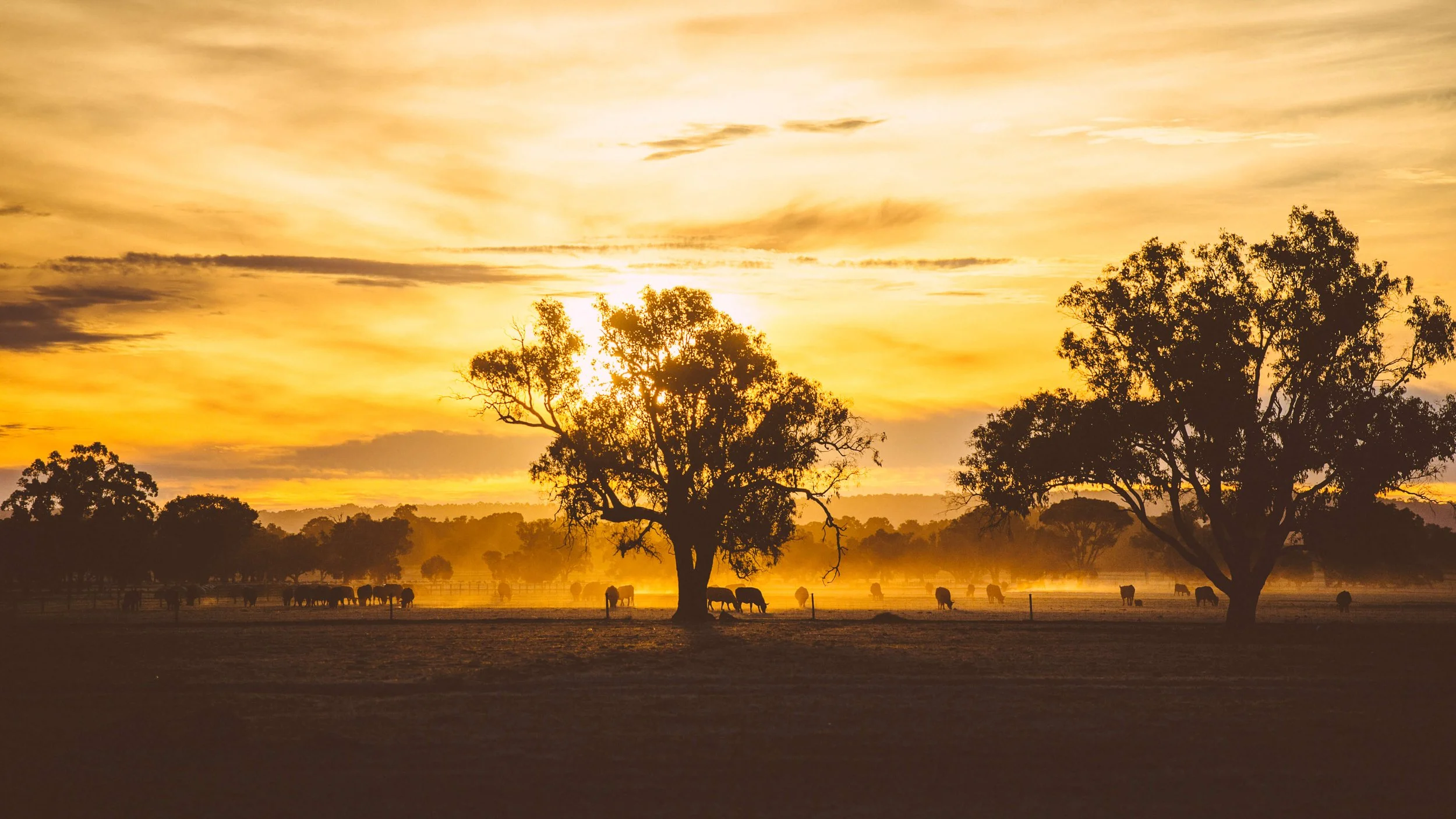 WA's Great South West Bike Ride Is On Again