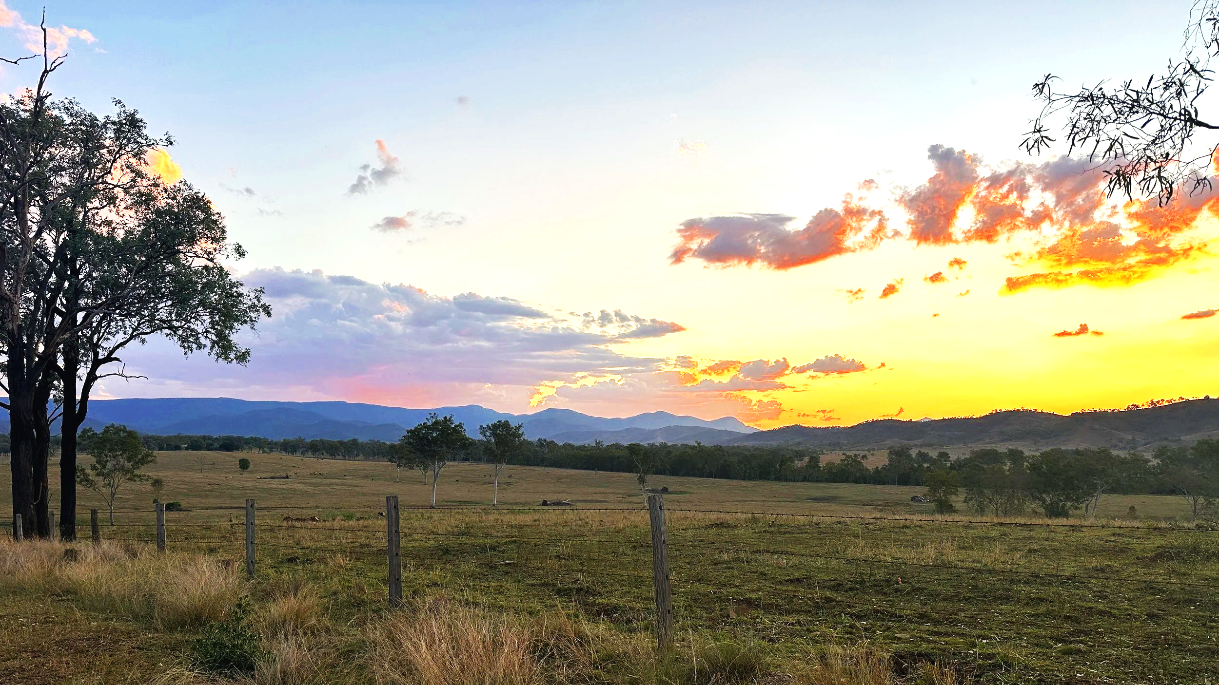 QLD Rails, Trails & Country Lanes