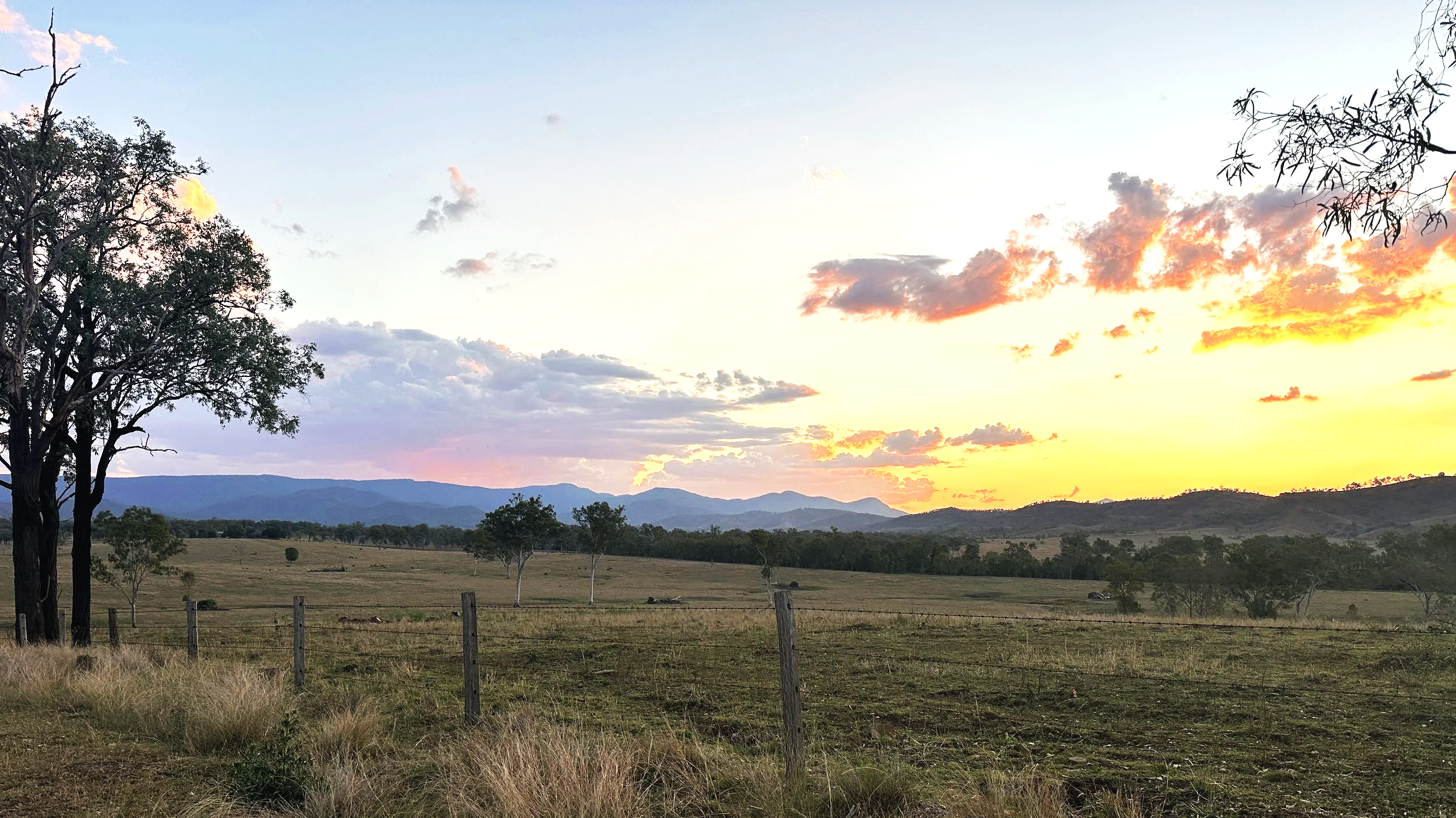 QLD RAILS, TRAILS & COUNTRY LANES