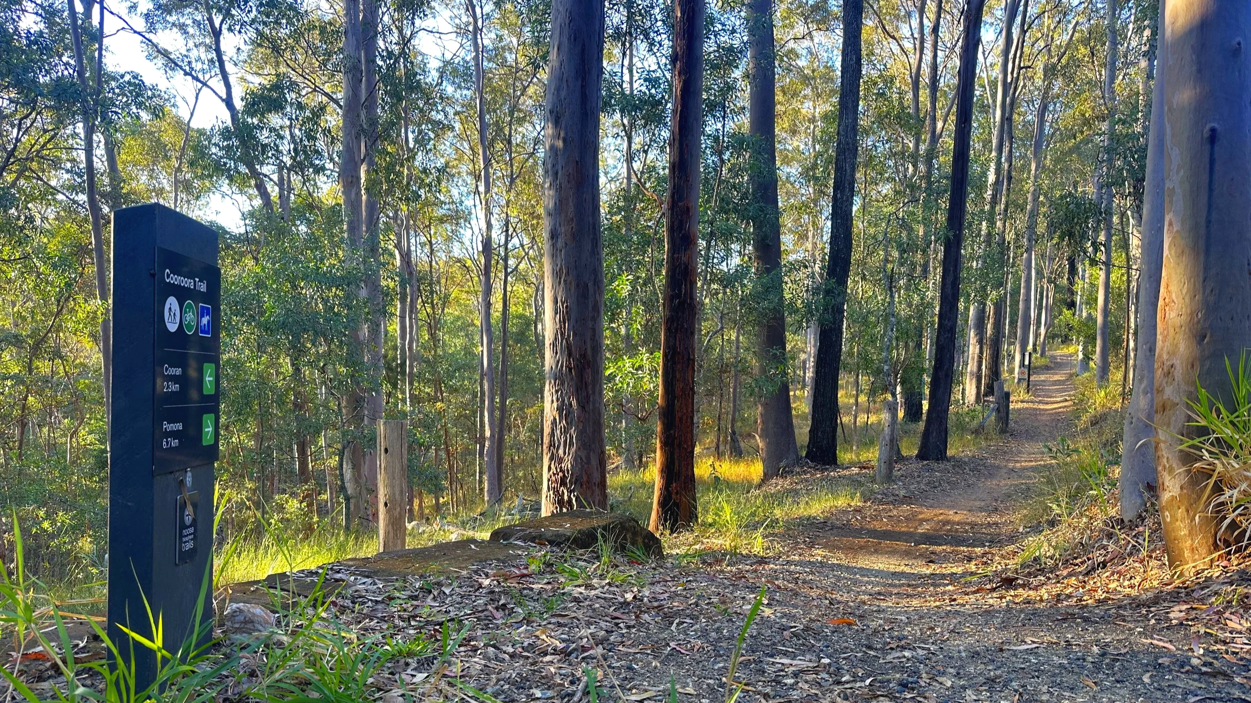 AllTrails Mar 2026 News