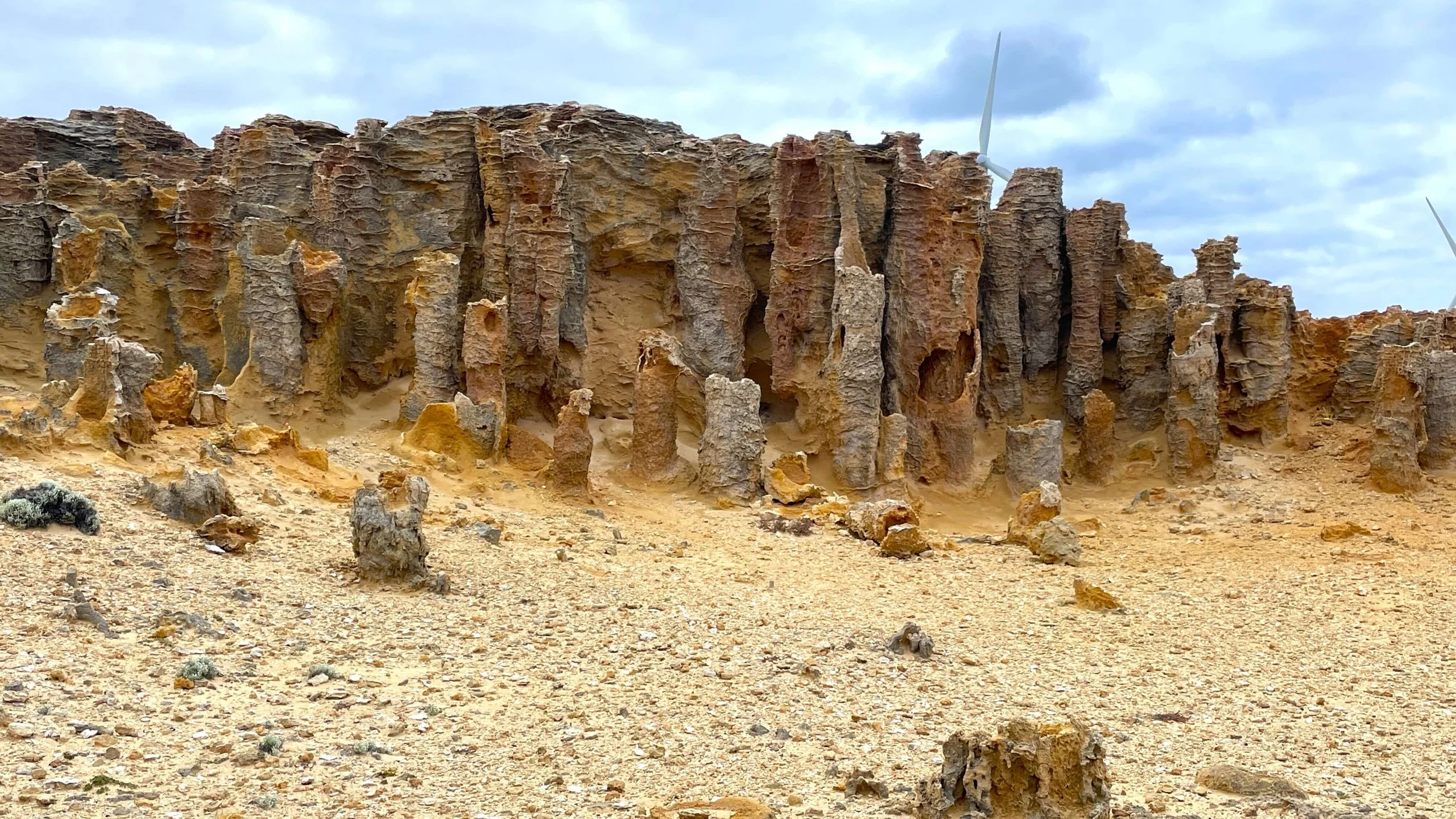 Great South West Walk Tour Pic.jpg