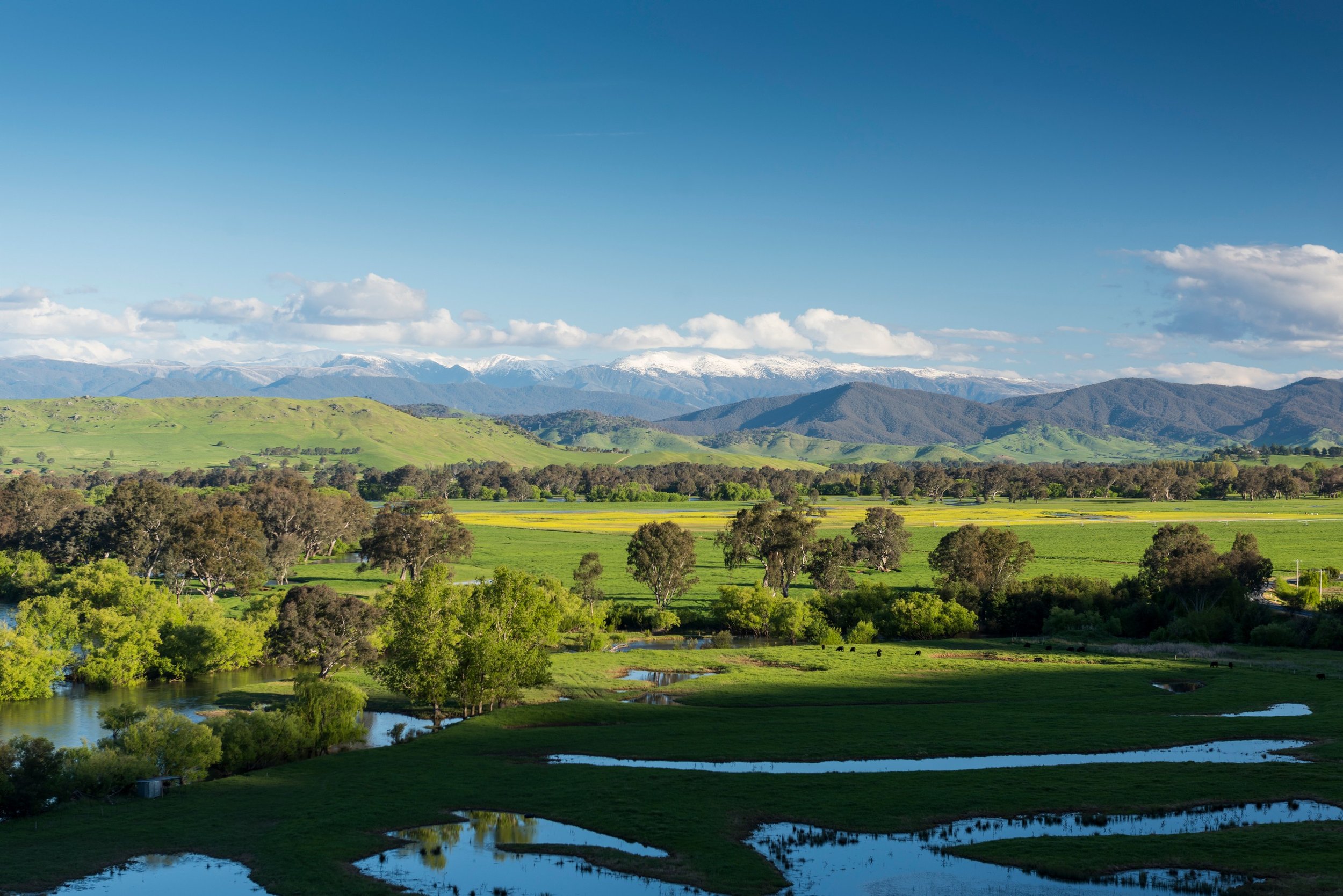 Murray River Bike Tour Gallery VV (4).jpg