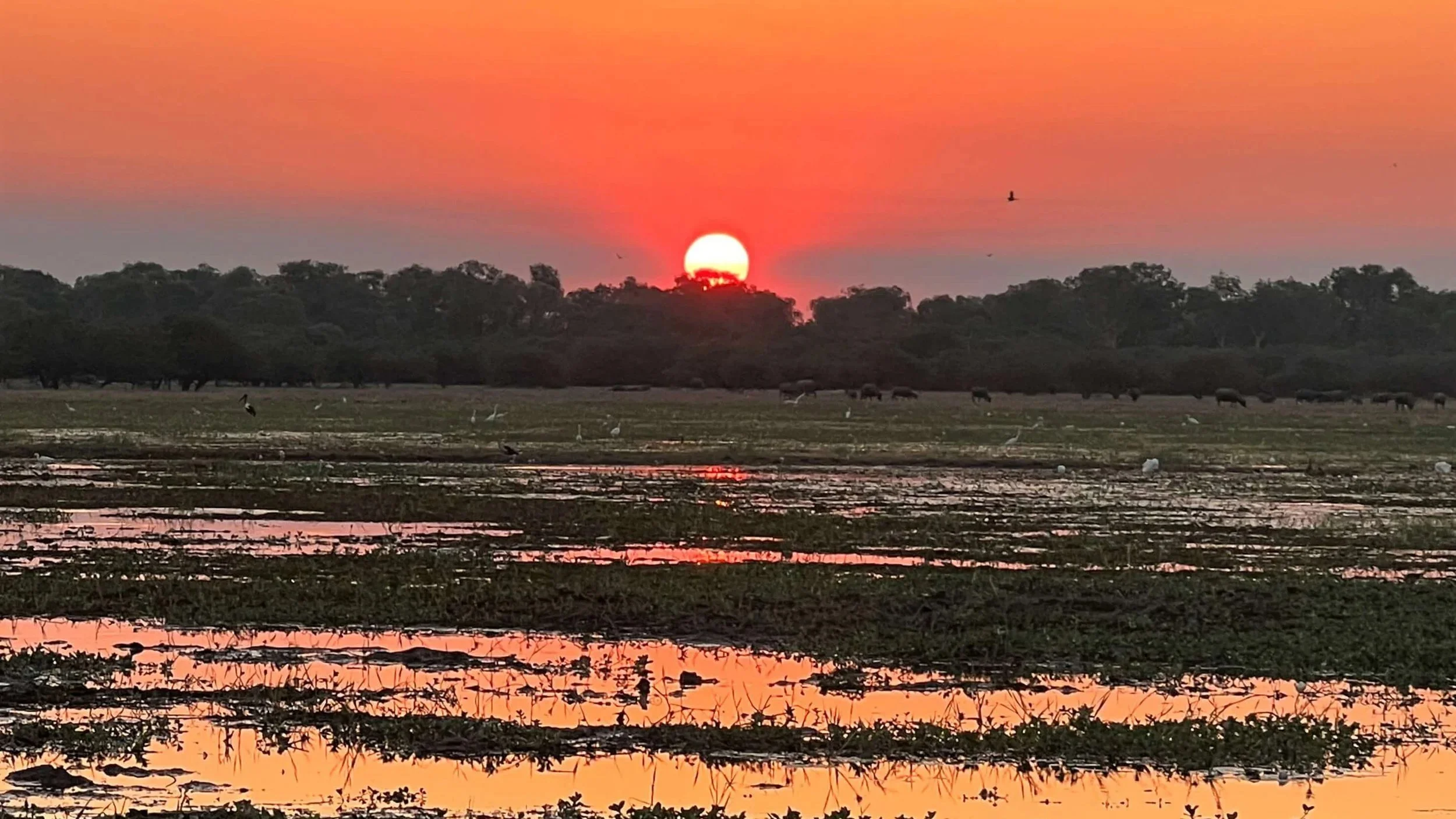 Darwin to Broome Cycling Tour gallery  (8).jpg